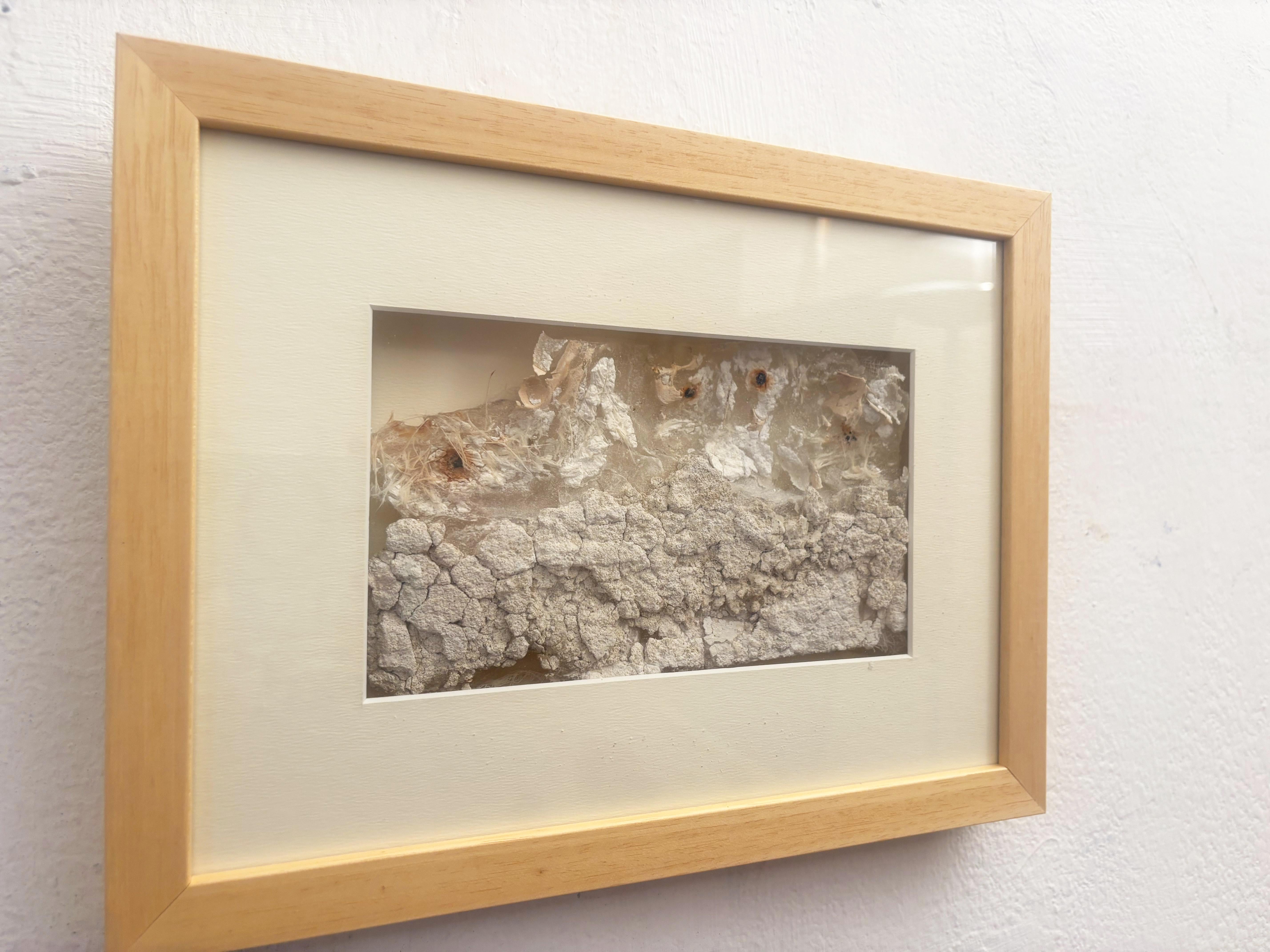 Fragment - Silikonguss Wandtextur Skulptur, Original Kunstwerk im Angebot 2