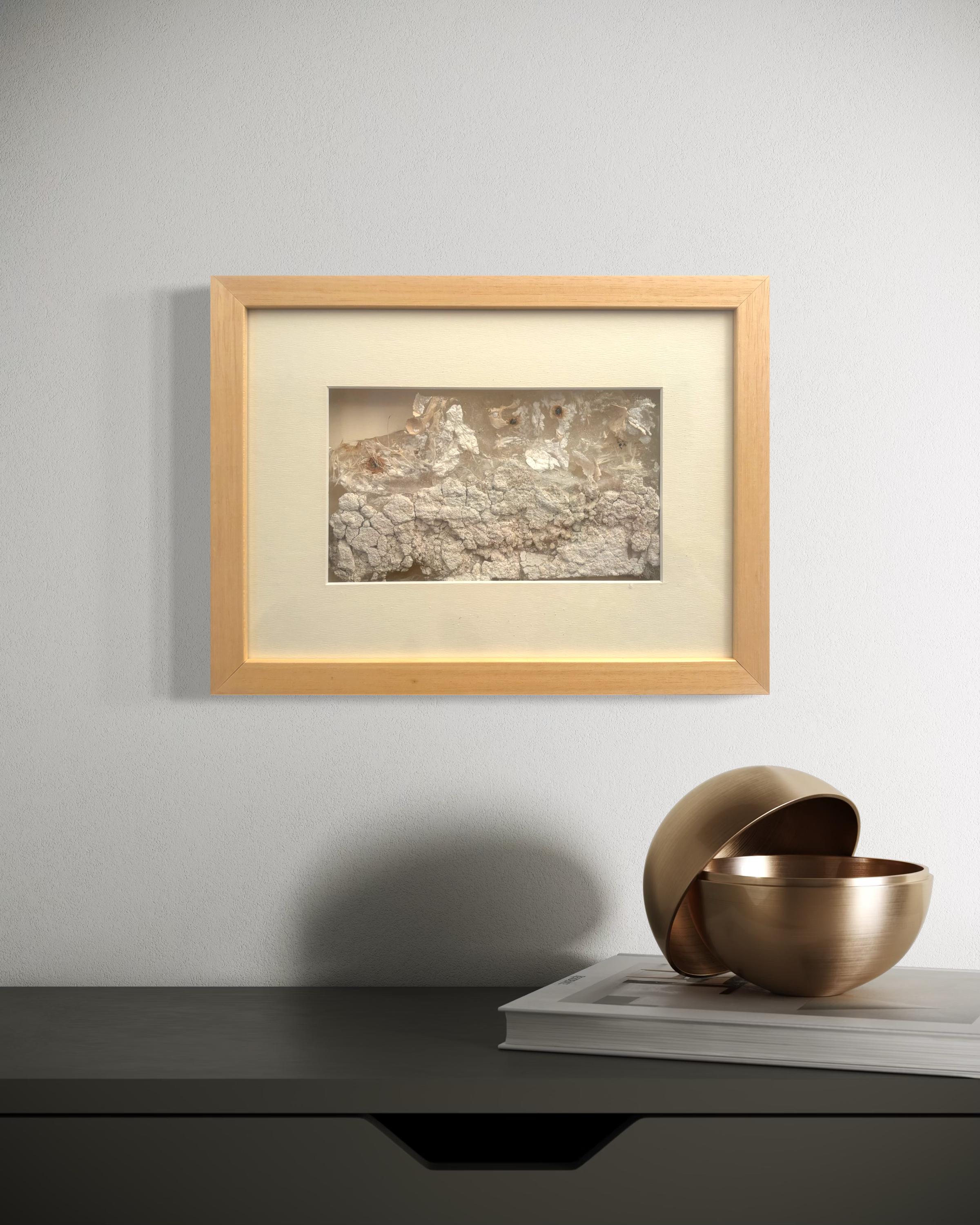 Fragment - Silikonguss Wandtextur Skulptur, Original Kunstwerk im Angebot 6
