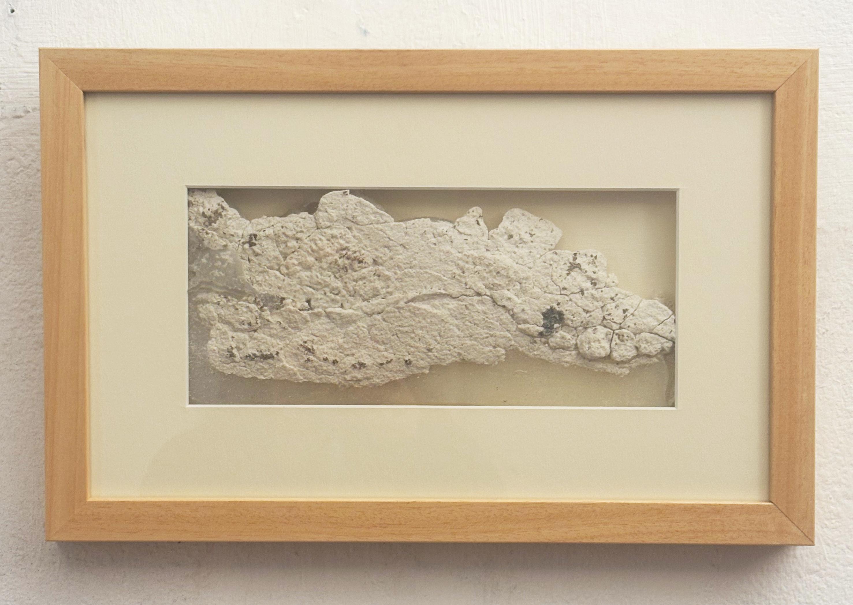 “Fragment – Silicone Cast Wall Texture Sculpture, Original Artwork