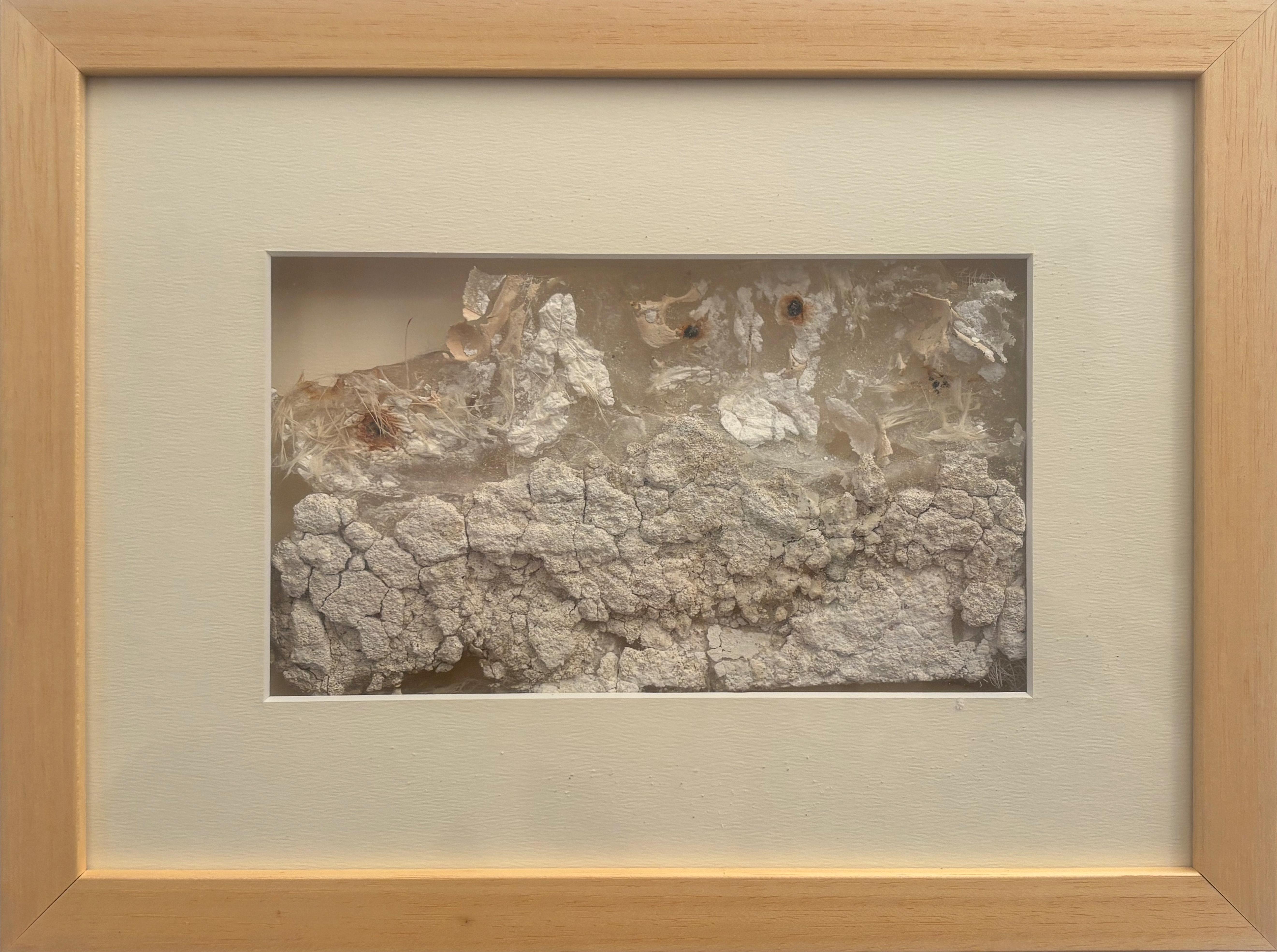 Fragment – Silicone Cast Wall Texture Sculpture, Original Artwork