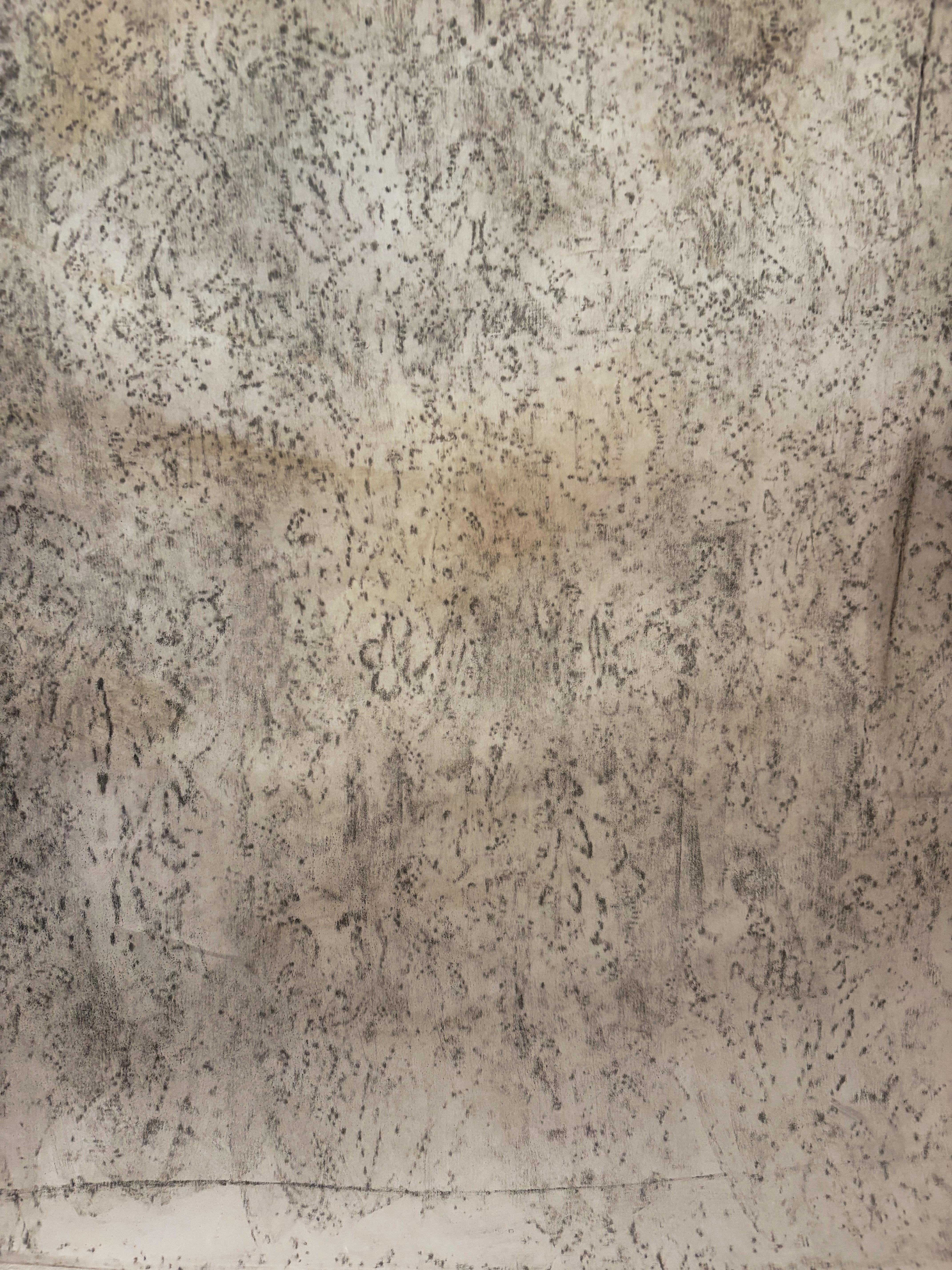 Description:
Artist: Marilina Marchica (b. 1984, Italy)
Title: Frammento CN
Year: 2025
Medium: Charcoal on translucent drafting paper (carta da lucido)
Size: 75 × 145 cm
Framing: Unframed – ships rolled in a protective tube (custom framing available