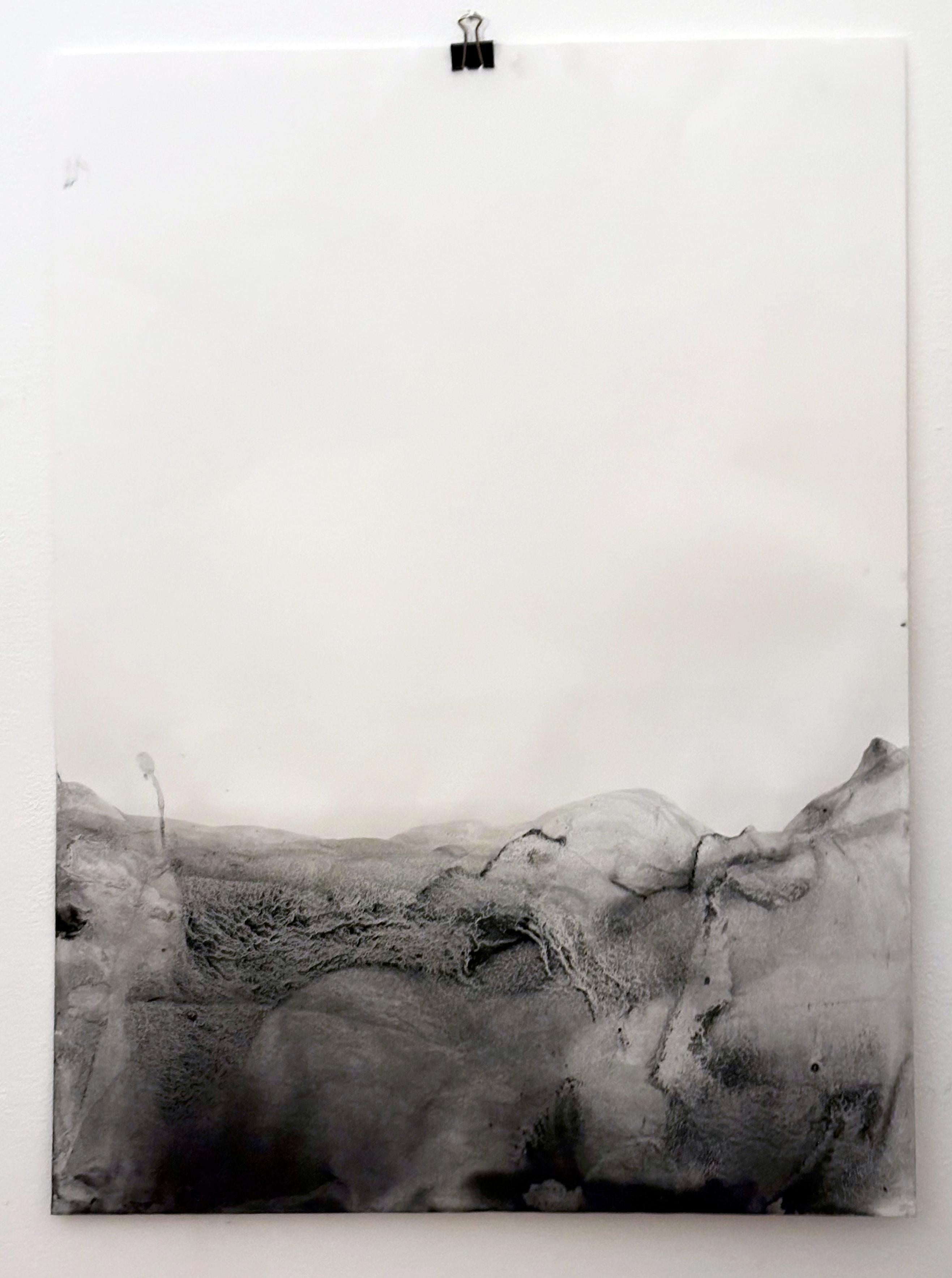 Landschaft BW  Original  Landschaftszeichnung in Großformat, von Marilina Marchica im Angebot 1