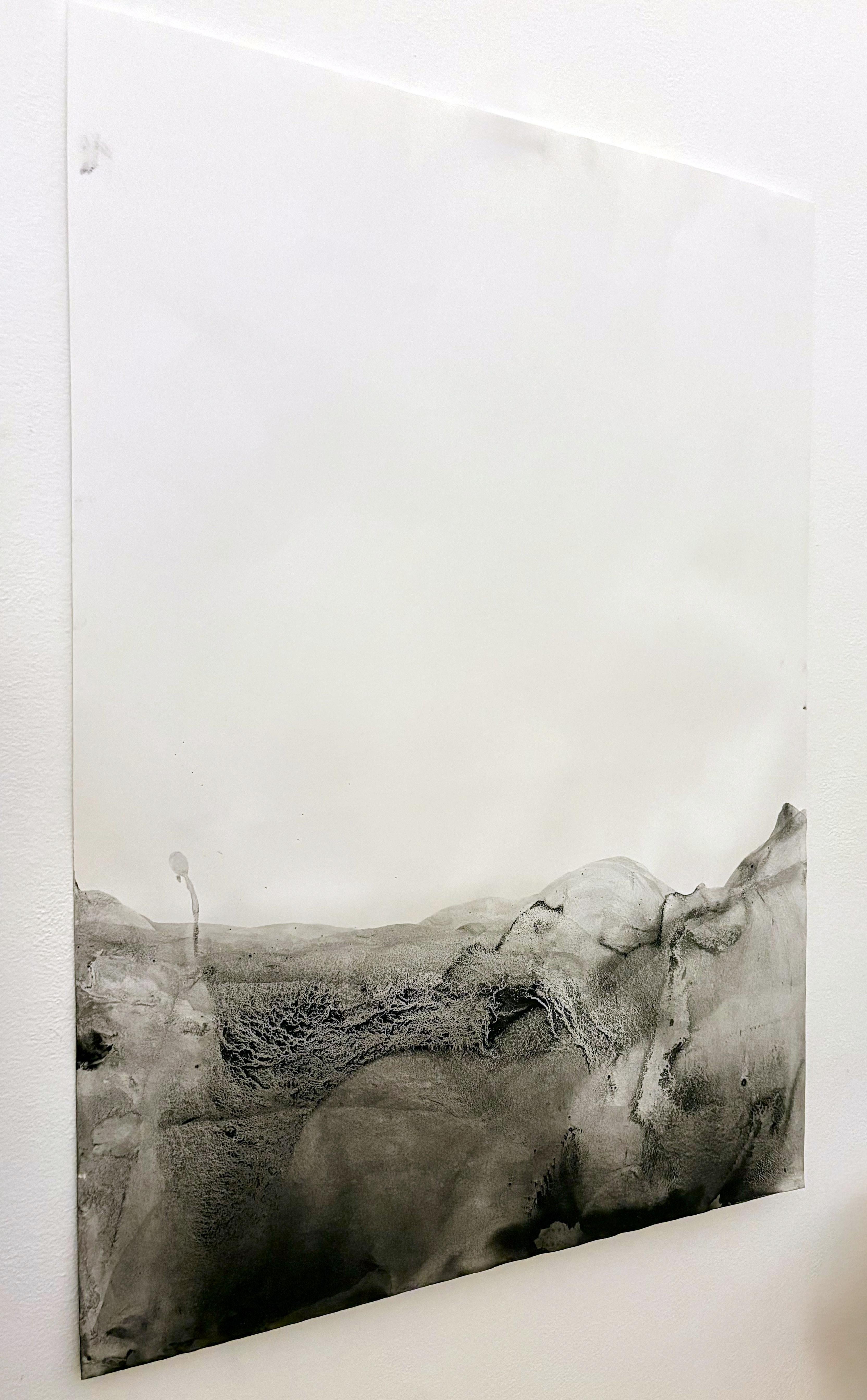 Landschaft BW  Original  Landschaftszeichnung in Großformat, von Marilina Marchica im Angebot 2