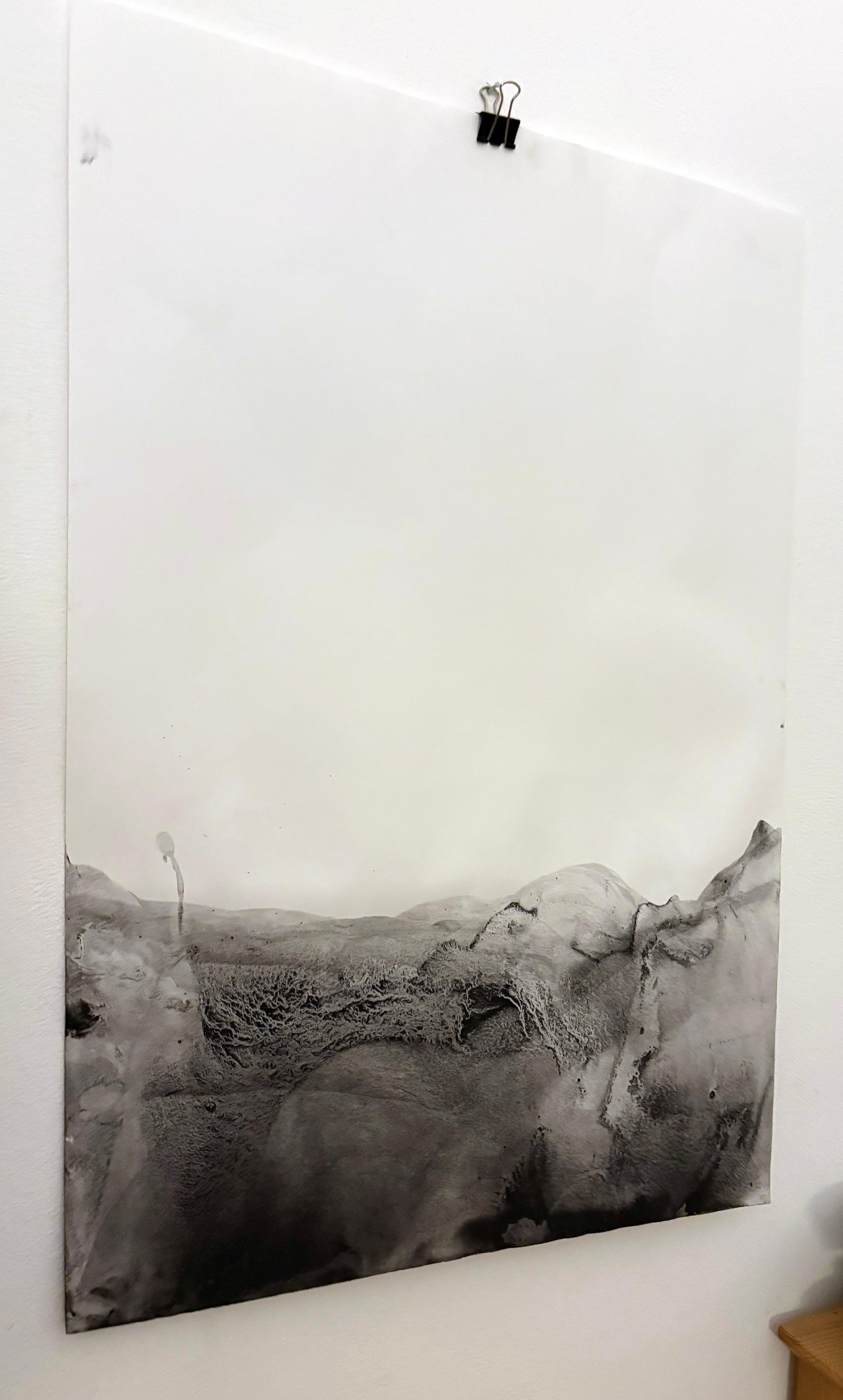 Landschaft BW  Original  Landschaftszeichnung in Großformat, von Marilina Marchica im Angebot 3