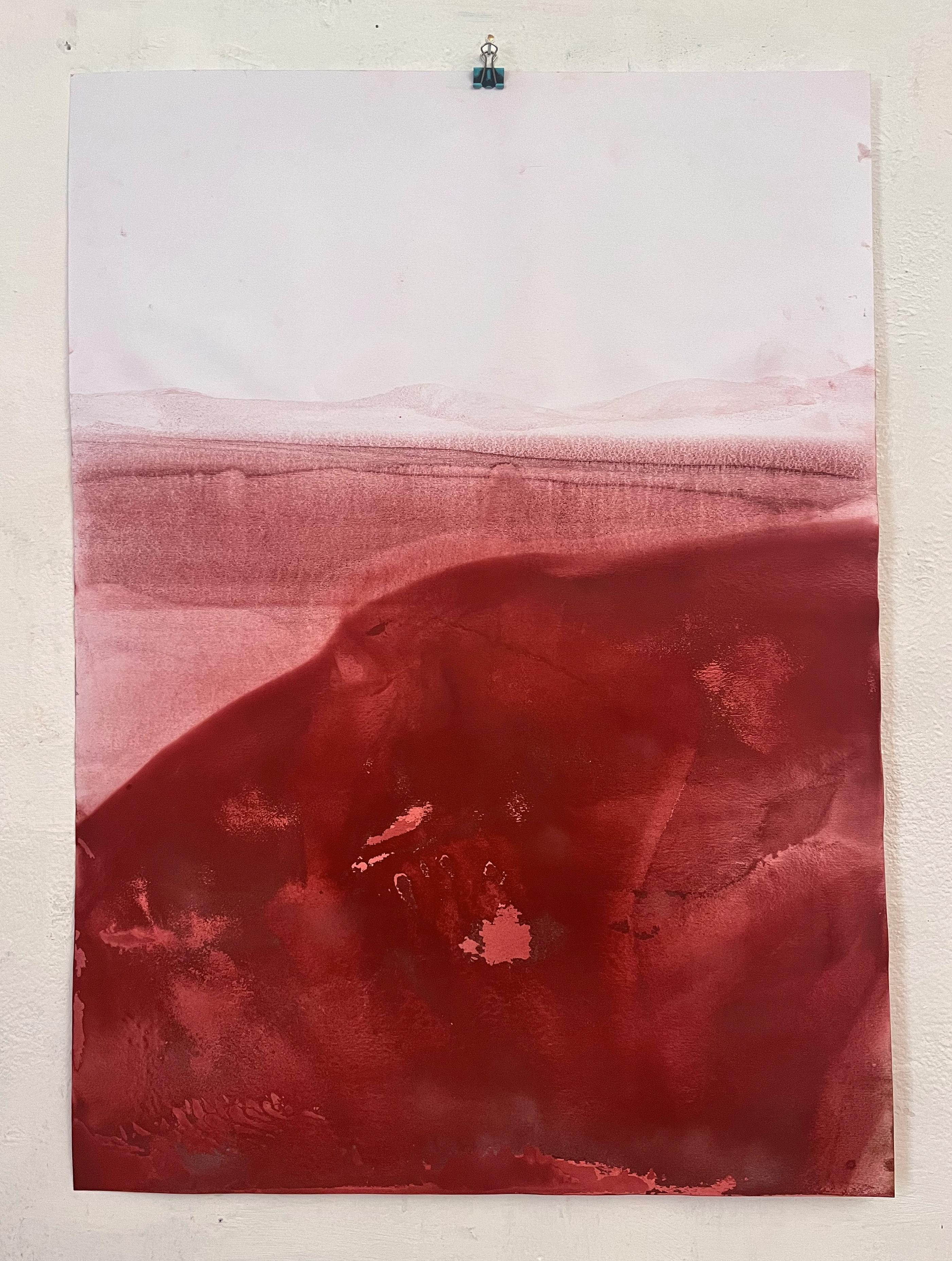 Red Landscape
Original Art on Paper
60x70 cm
2023

Mineral oxide on paper



Marilina Marchica was born in Agrigento, where she works and lives,
After receiving her diploma at Liceo Artistico 
