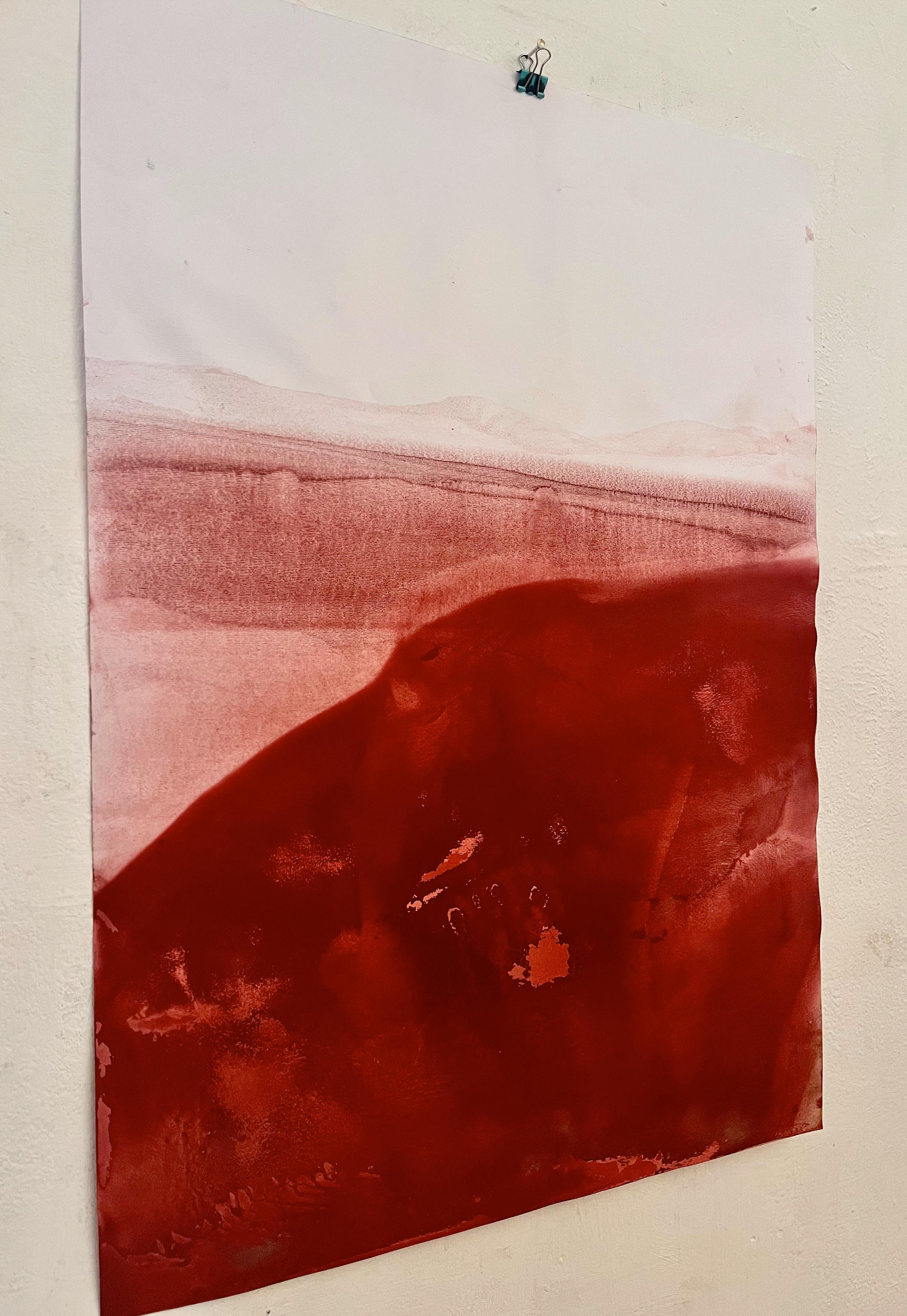 « Paysage rouge » sur papier, grande taille - Contemporain Art par Marilina Marchica