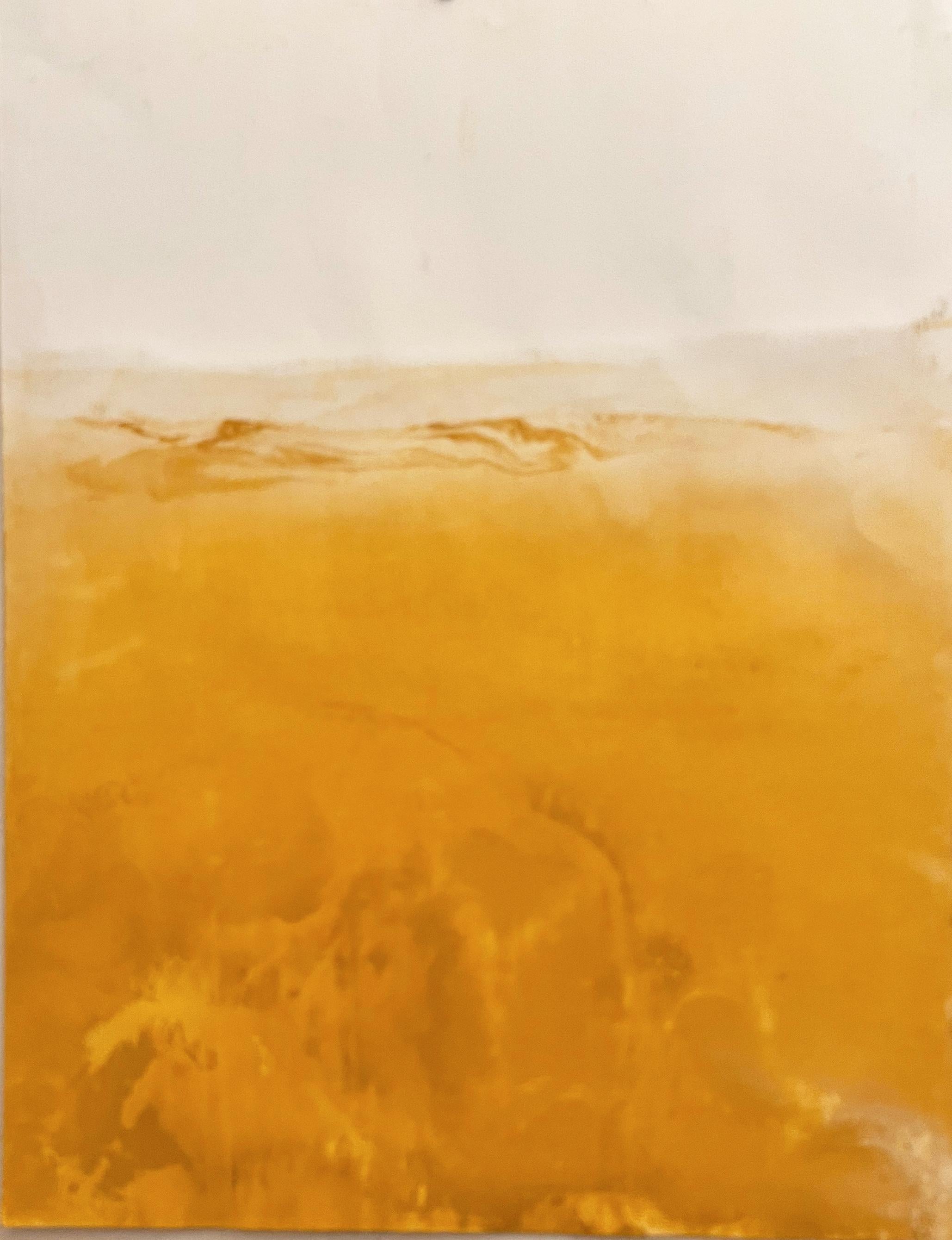Yellow Landscape Abstract Art , Pigment on Paper Large Size, Marilina Marchica