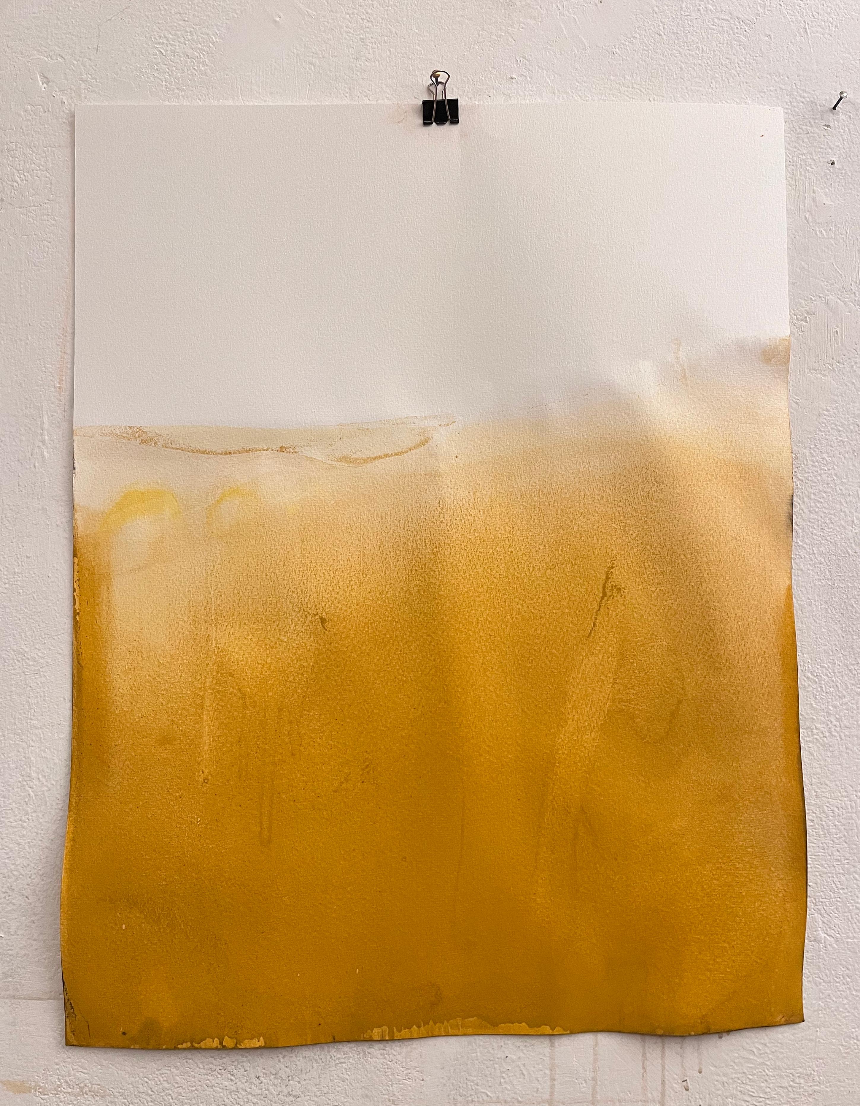 Paysage jaune
Oxyde minéral sur papier
 (Papier Canson Montval 300gr)
50x65cm
2023

Art original 
options d'encadrement à convenir avec le client
(prêt à être accroché)

Marilina Marchica, née à Agrigento, où elle travaille et vit,
elle a obtenu un