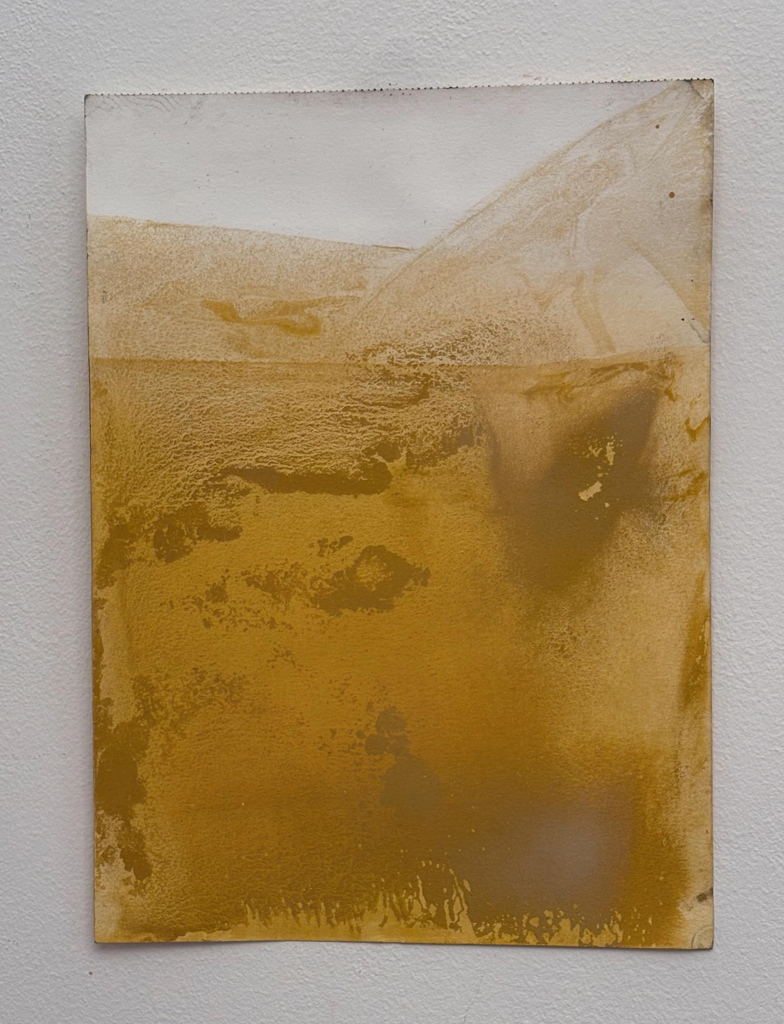 Yellow Landscape – Original Contemporary Work on Paper, Marilina Marchica, 2024
