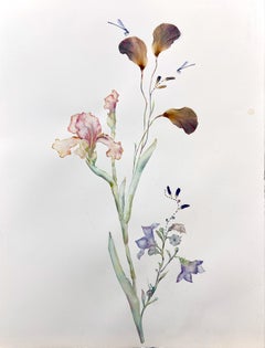 A Lucious Iris, 2025