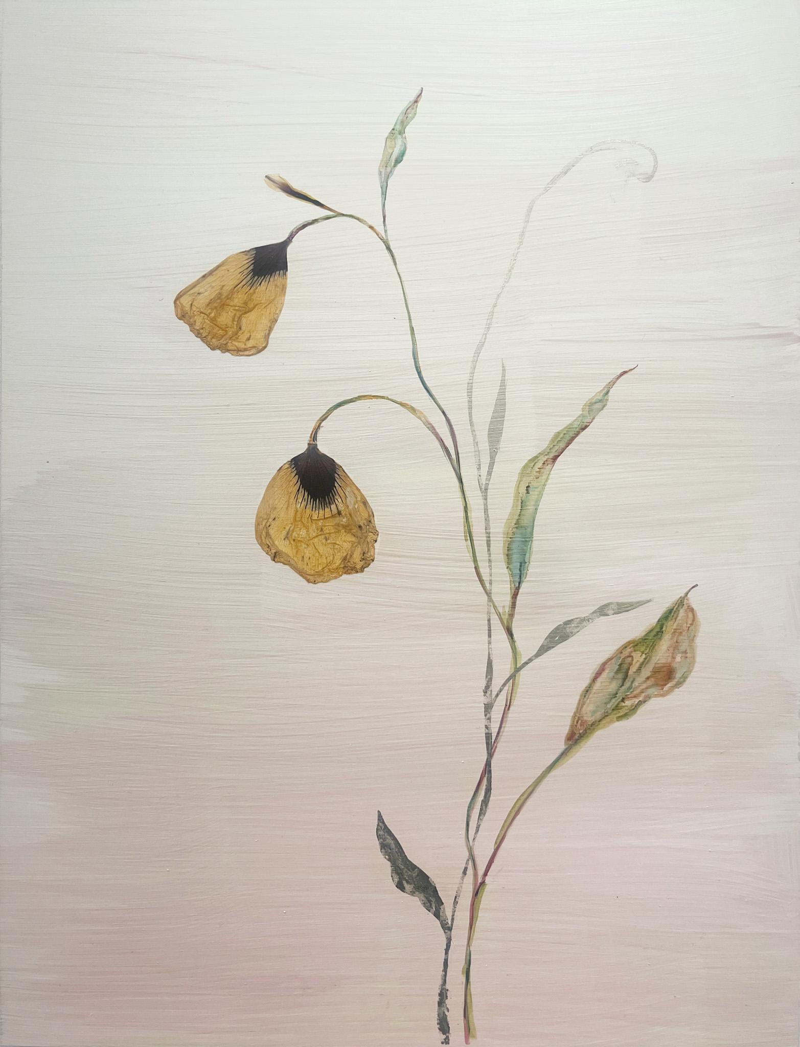 "Vergänglicher Mohn" 2025 – Mixed Media Art von Marilla Palmer