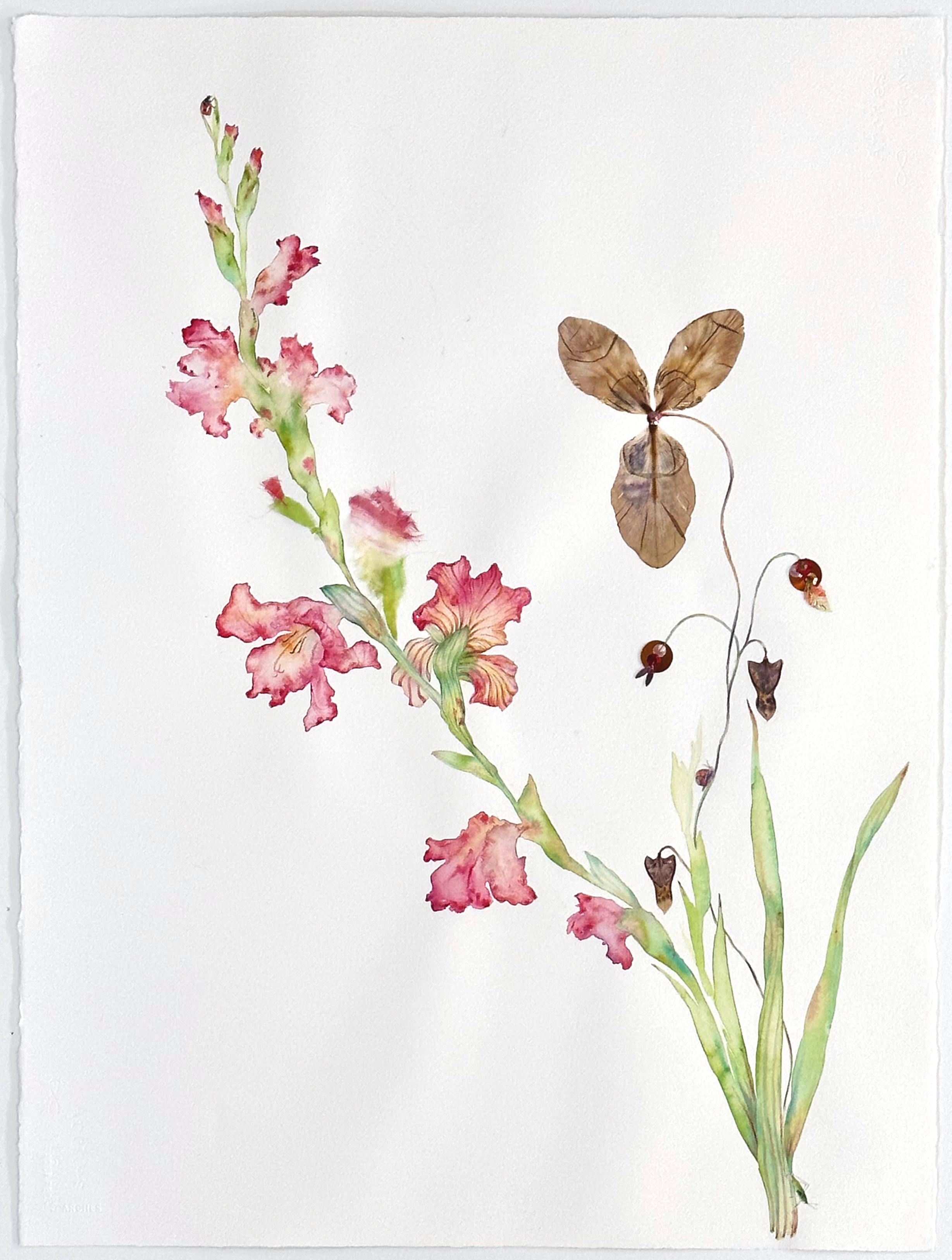 Marilla Palmer - « Giotto's Pink » - Fleurs pressées et supports mixtes sur papier