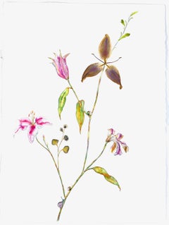 « The Life of a Lily », technique mixte sur papier de Marilla Palmer