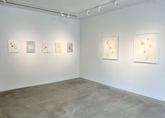 "Mellow Yellow" 2025