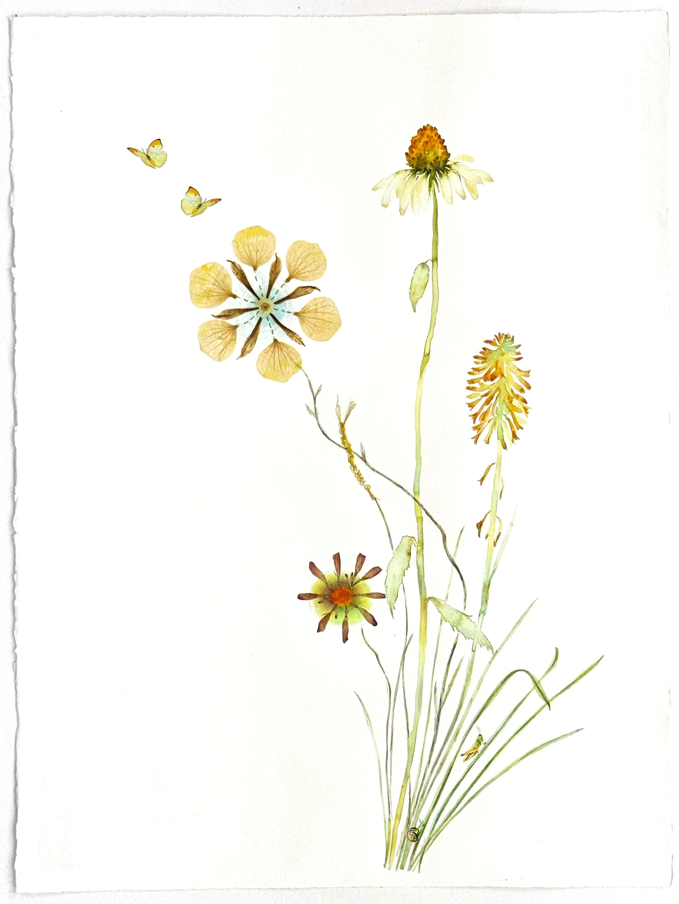 Still-Life di Marilla Palmer - "Giallo pastoso" 2025