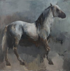 The Search