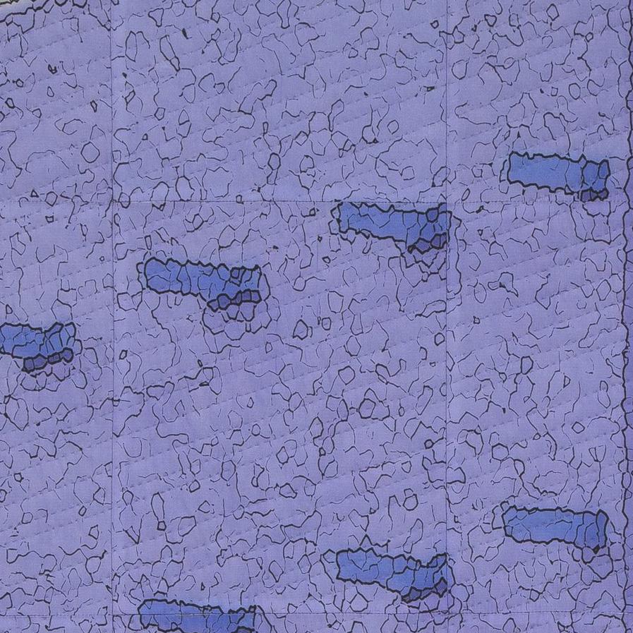 Fotografia manipolata digitalmente, stampa a pigmenti su seta, cuciture a mano, tela stirata. Pronto per essere appeso, non necessita di cornice (i bordi della tela sono ricoperti di seta): Mixed Media :: Contemporaneo :: Questo pezzo viene fornito