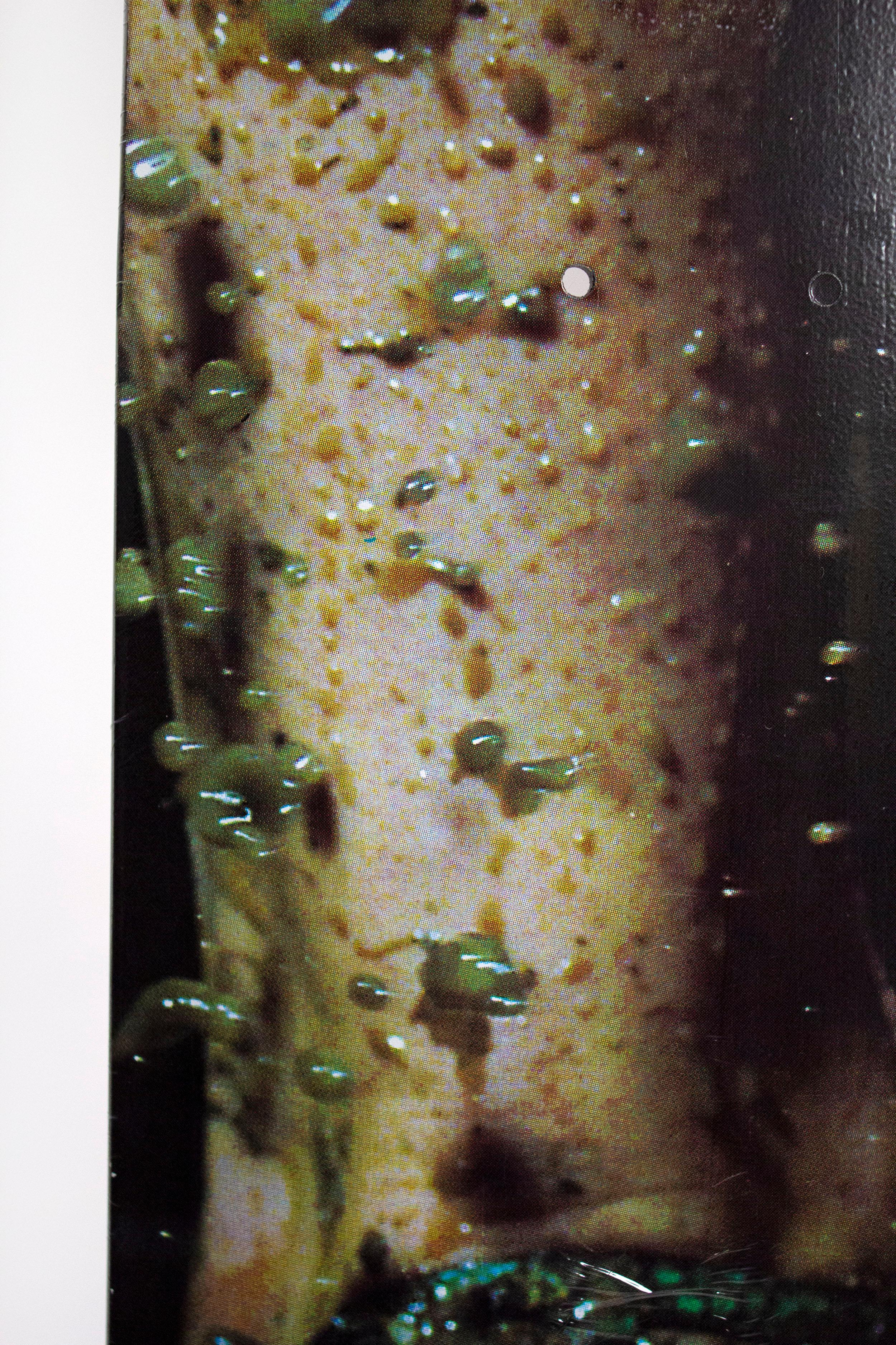 Contemporary Marilyn Minter Photoghaph Series Skateboard Decks for Supreme 2008 NY