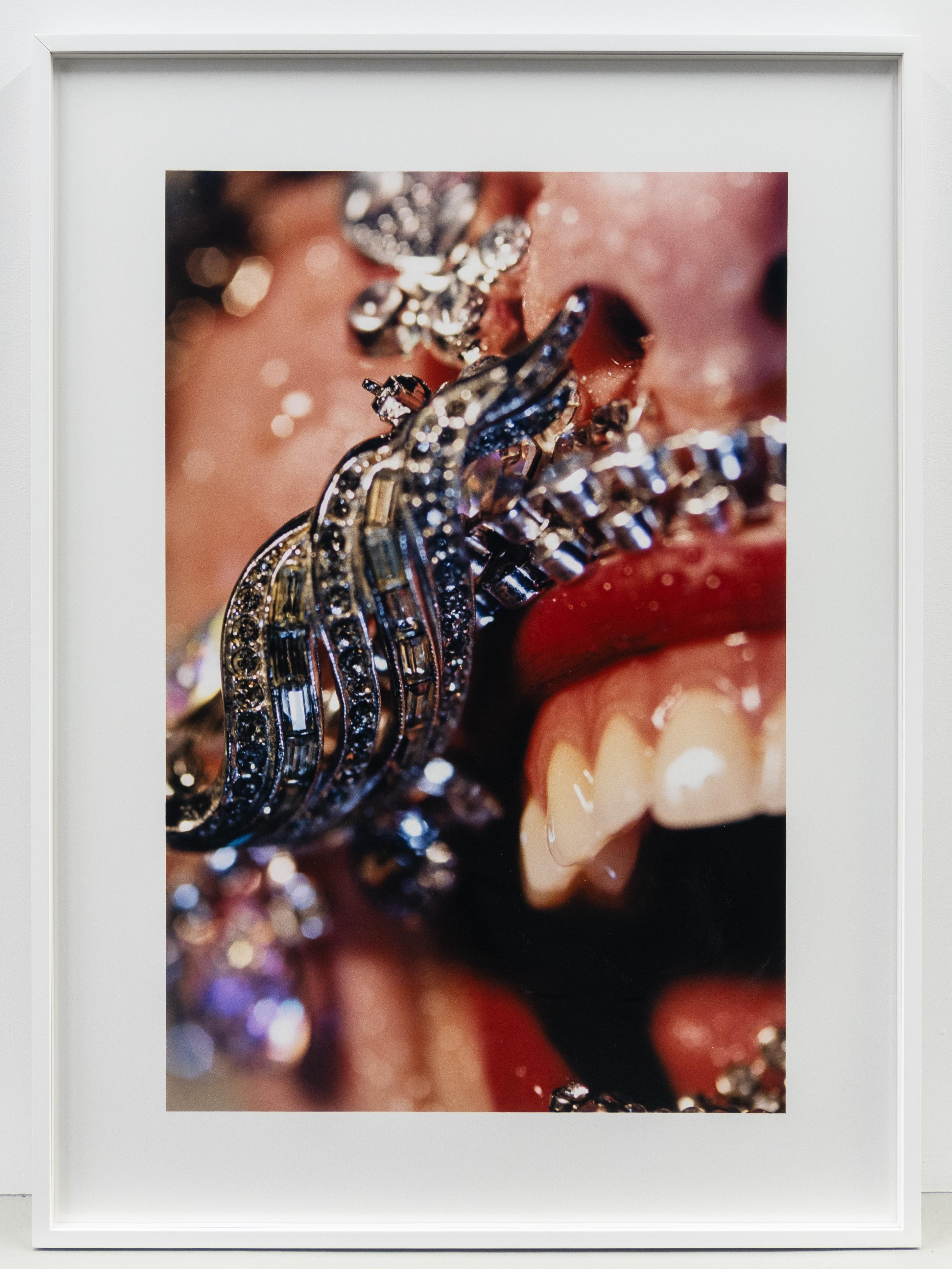Brooch - Photograph by Marilyn Minter