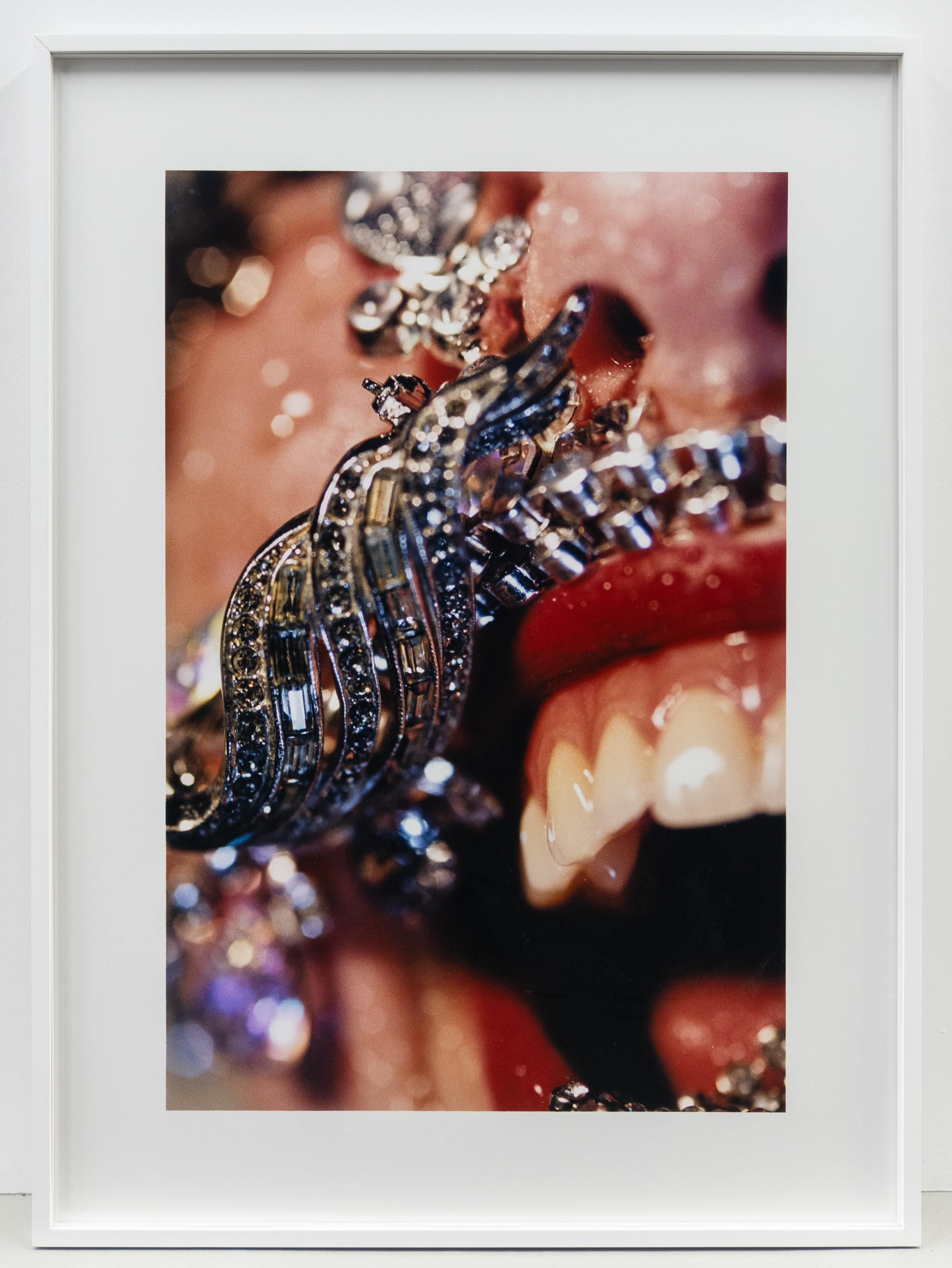 Broche - Photograph de Marilyn Minter