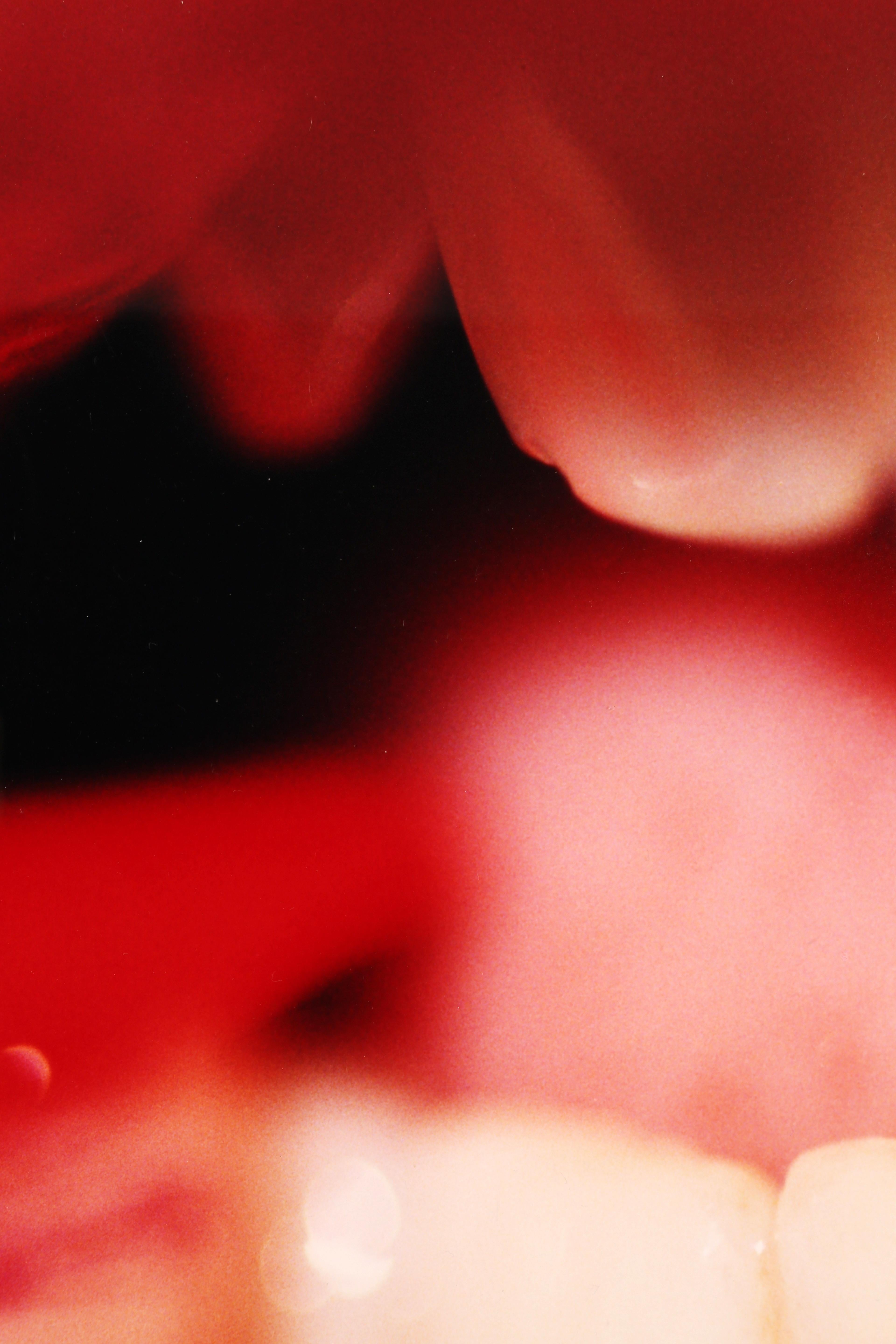 Marilyn Minter
Nail Biter, 2010
Color photograph
20 x 24 inches  (50.8 x 61 cm)
Edition 12/20