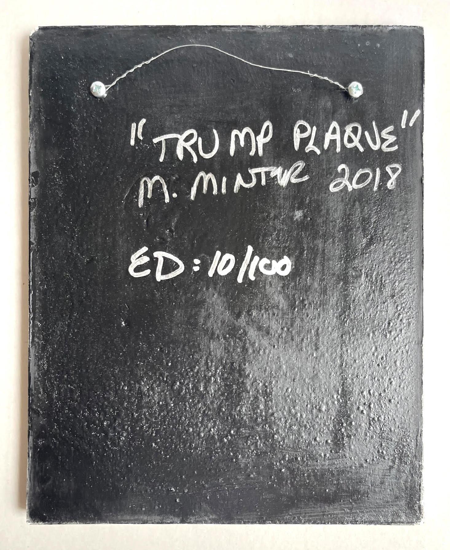 Donald J. Trump (Silver) 3D Placca multipla 