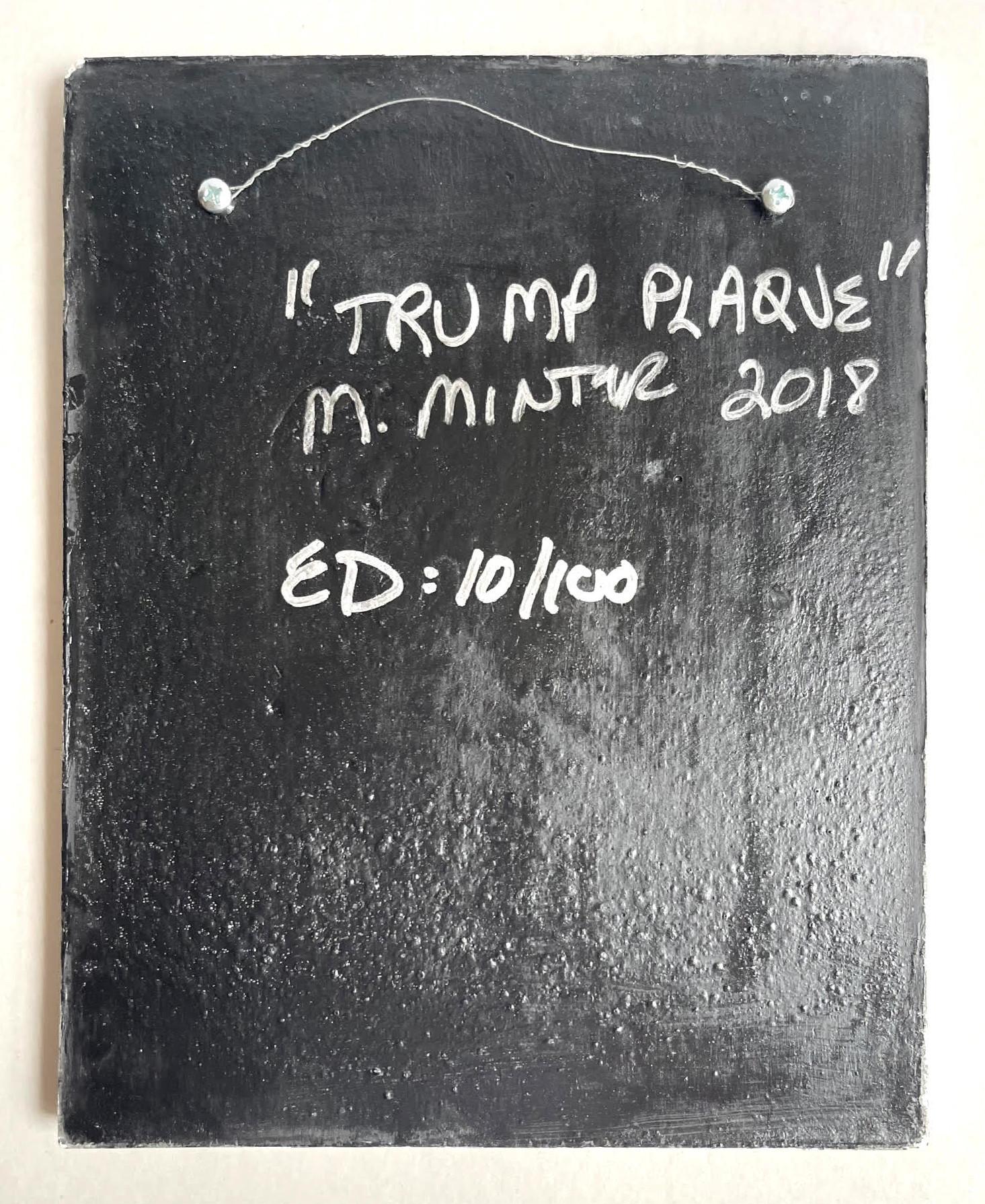 Donald J. Trump (argent) plaque « présidentielle » en 3D multiples - Protest Art  en vente 1