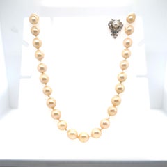 Marilyn Monroe Memorabilia Personal Costume Faux Pearl Necklace
