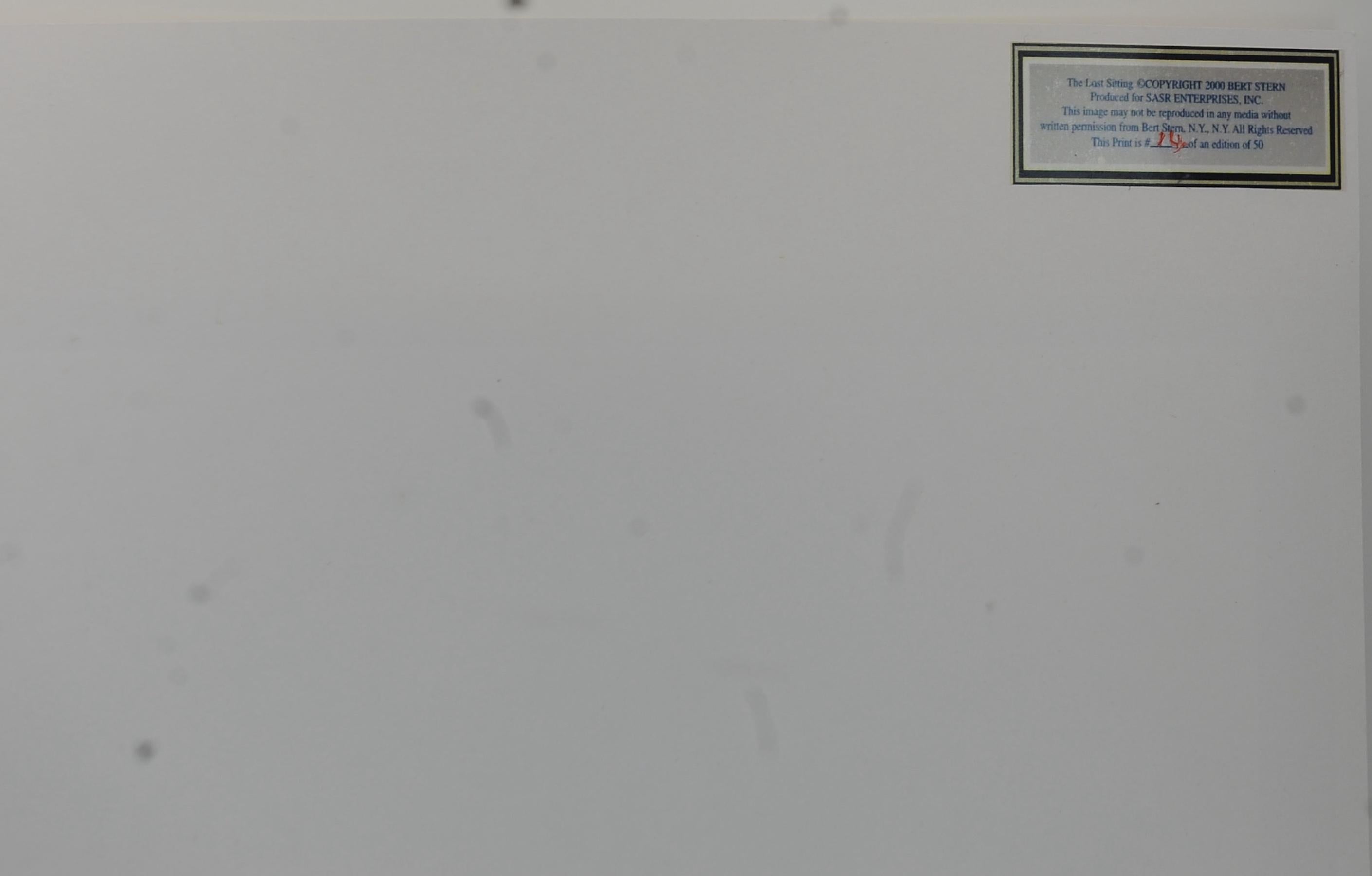 Marilyn Monroe The Last Sitting Photoshoot Edition limitée par Bert Stern en vente 6