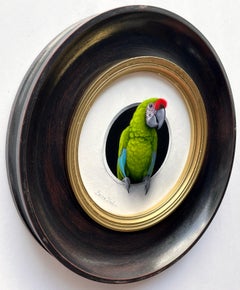 "Perroquet" by Marina Dieul, Original Oil Painting, Green Parrot