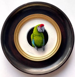 "Perroquet" de Marina Dieul, Pintura al óleo original, Loro verde