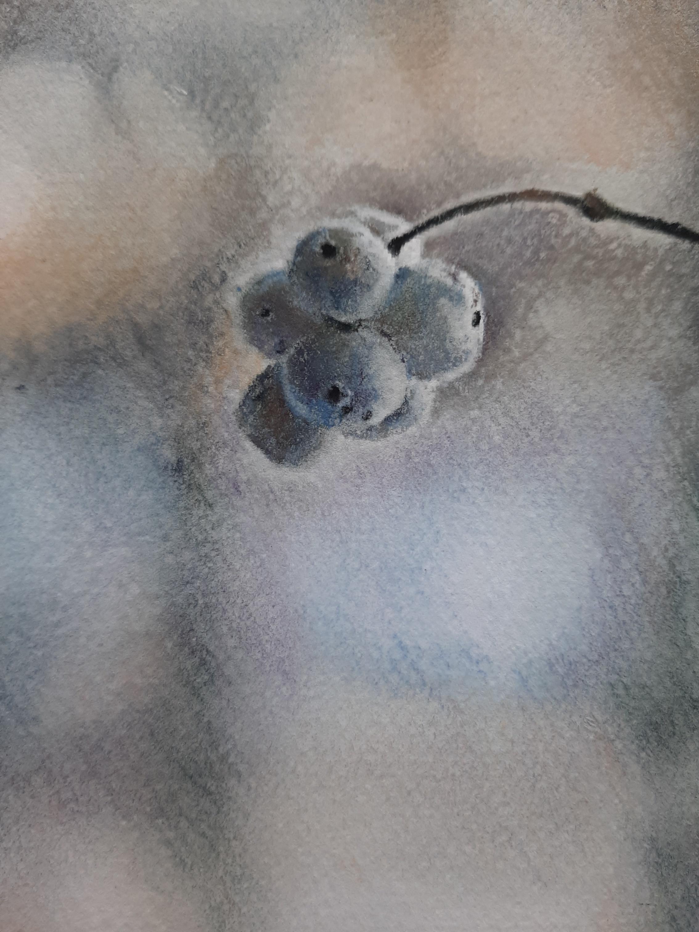 Un día de invierno - Naturaleza muerta Pintura Beige Verde Blanco Negro Aguatinta Acuarela - Still-Life Painting Gris de Marina Dobrovolskaya