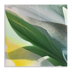 Magnolia X