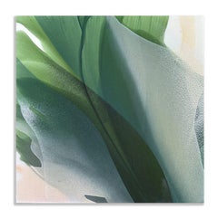 Magnolia XII