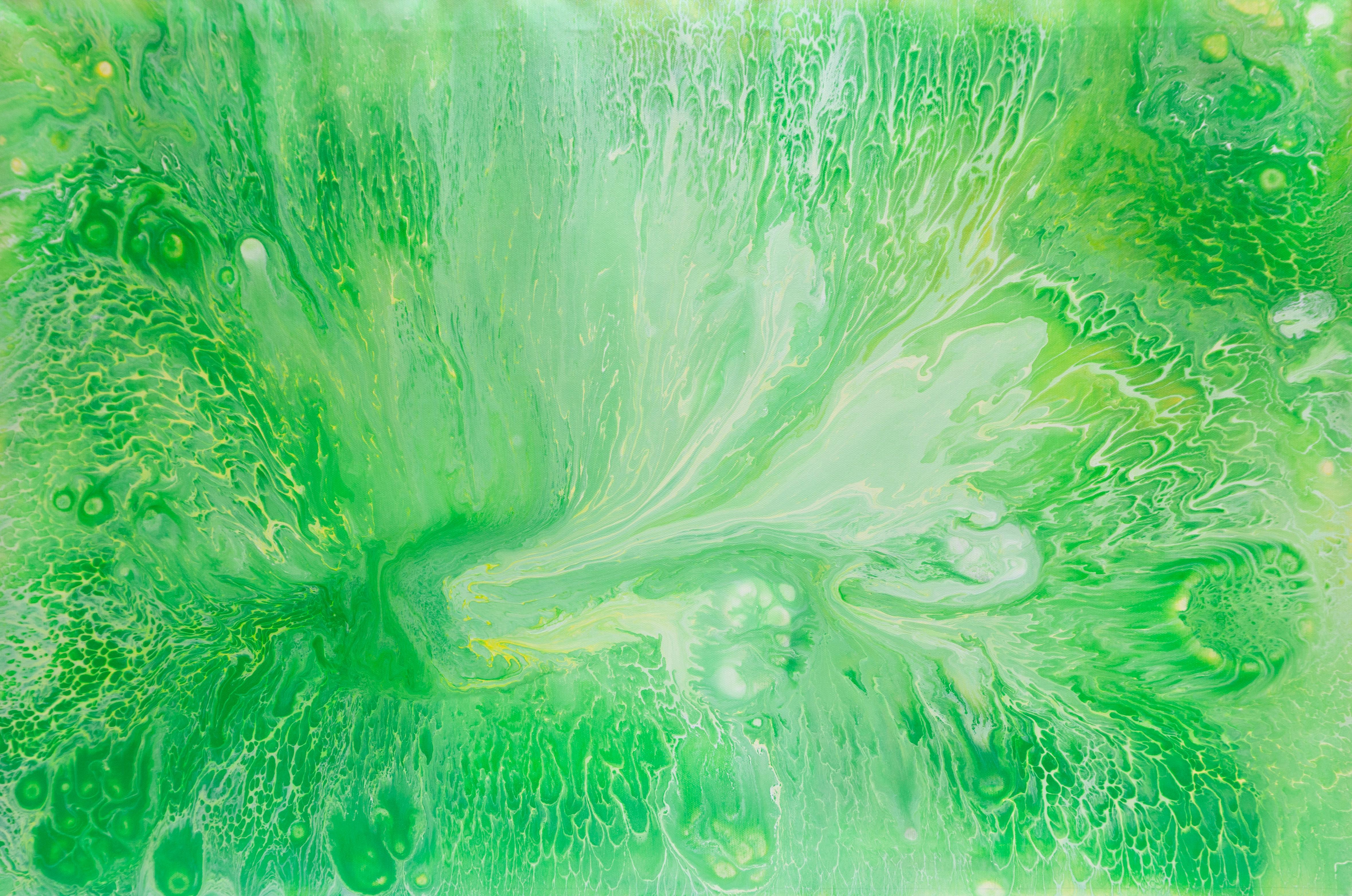 Green Butterfly Wing Painting Abstract Nature Fluid Art Modern Artwork