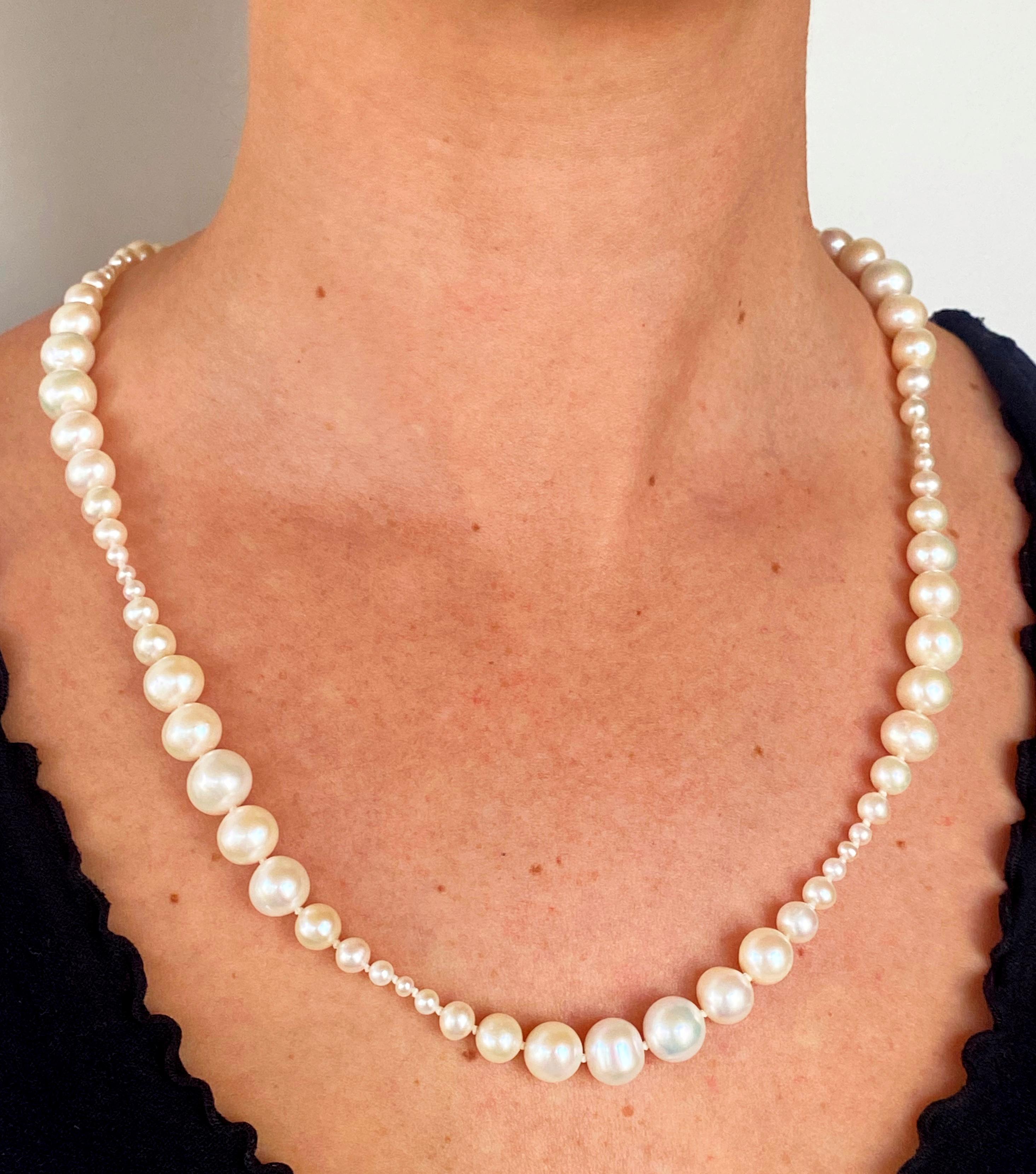 Marina J., abgestufte Perlenkette mit Verschluss aus 14 Karat Gelbgold im Zustand „Neu“ im Angebot in Los Angeles, CA