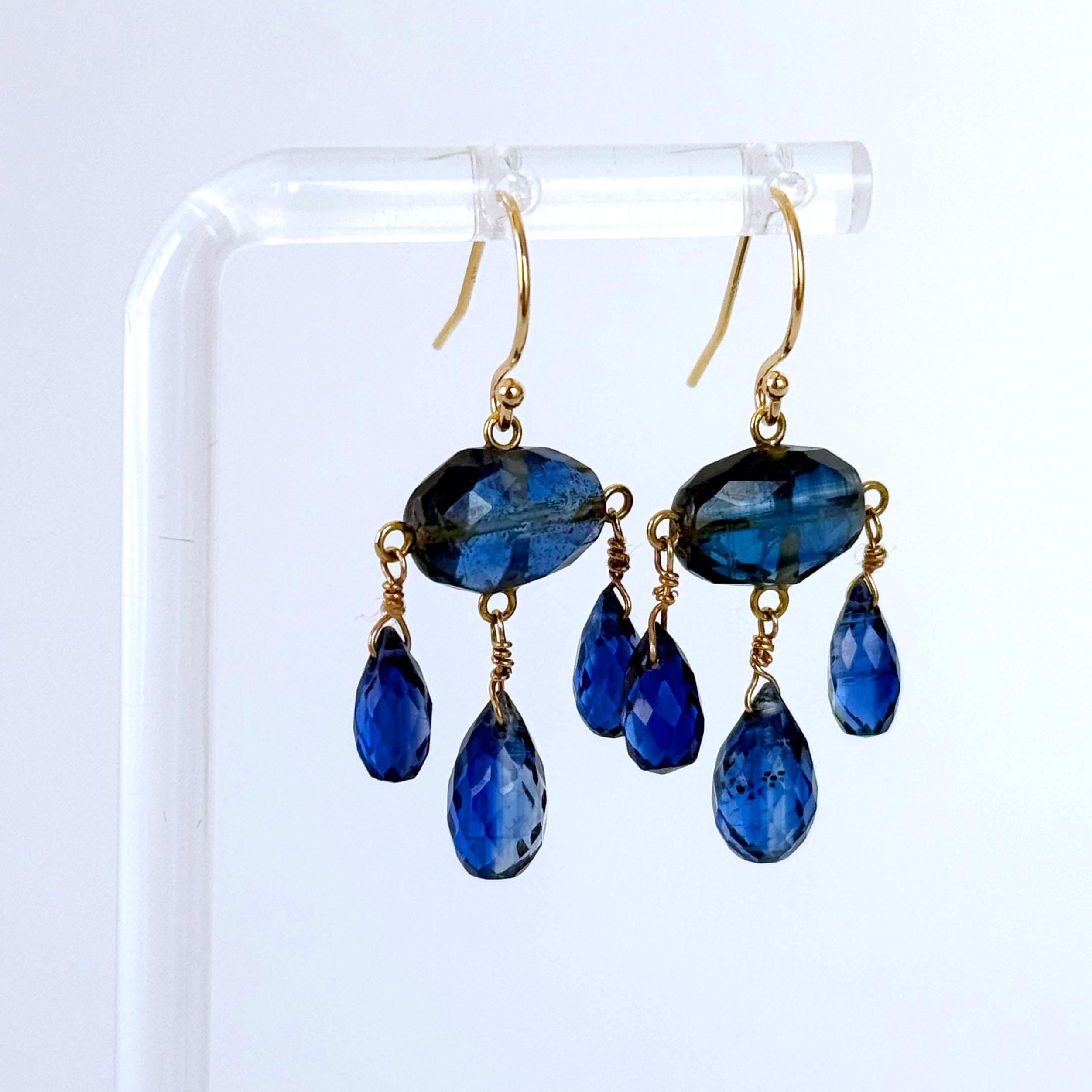 Magnifique paire de boucles d'oreilles Chandelier.

Cette paire de bagues présente des facettes de cyanure bleu parfaitement mises en valeur par l'or jaune 14k massif. La pierre principale est une pièce ovale à facettes et les kyanites suspendus
