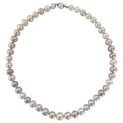 Marina J. Collier de perles multicolores avec fermoir en or blanc 14 carats