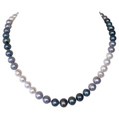 Marina J. Ombre Pearl Strung Necklace with 14k Yellow Gold