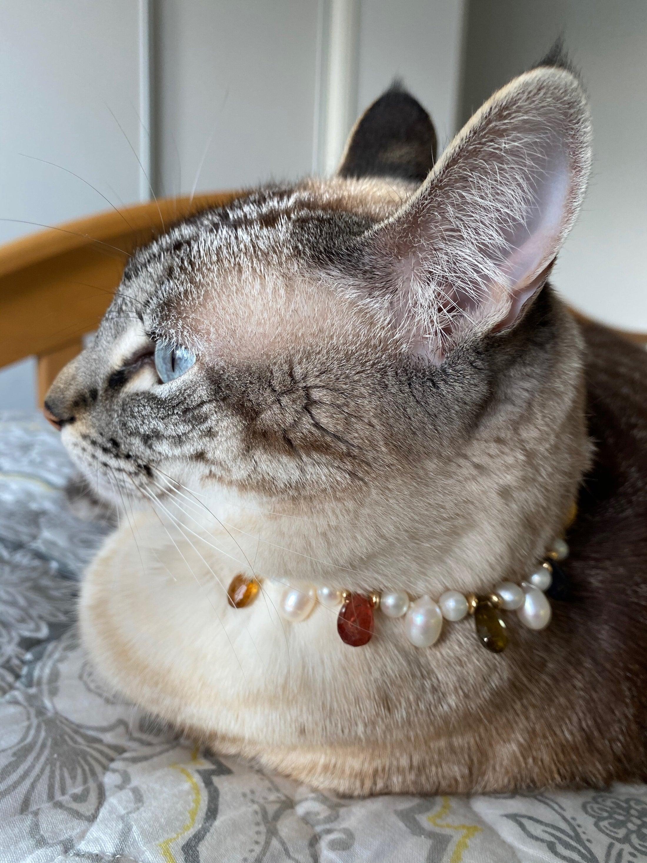 Artisan Marina J. Pet Collar/Necklace with Real Pearls, Iolite, Kyanite and Tourmaline For Sale