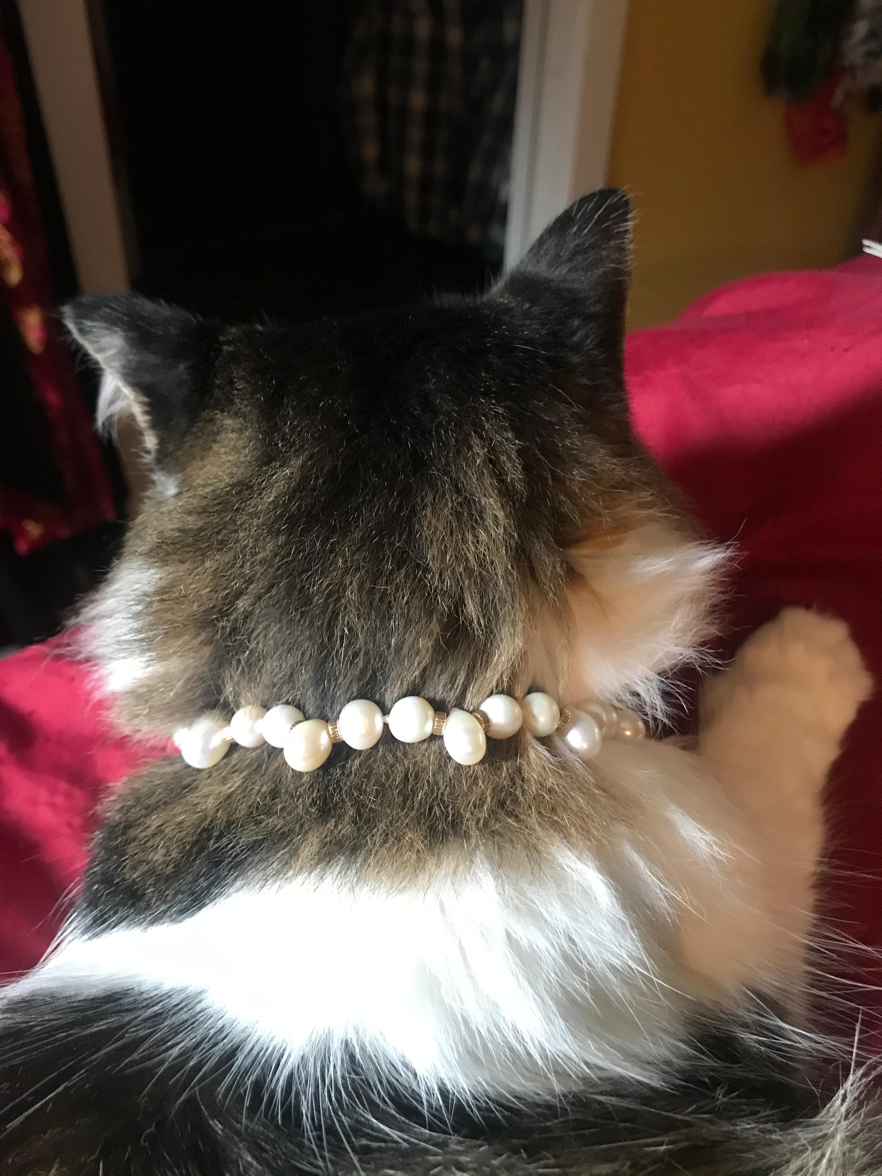 real pearl necklace