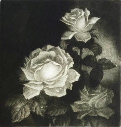 Awakening (9/40), mezzotint of rose by Marina Lazareva
