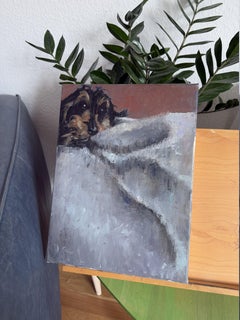 Dachshund. Dog portraits