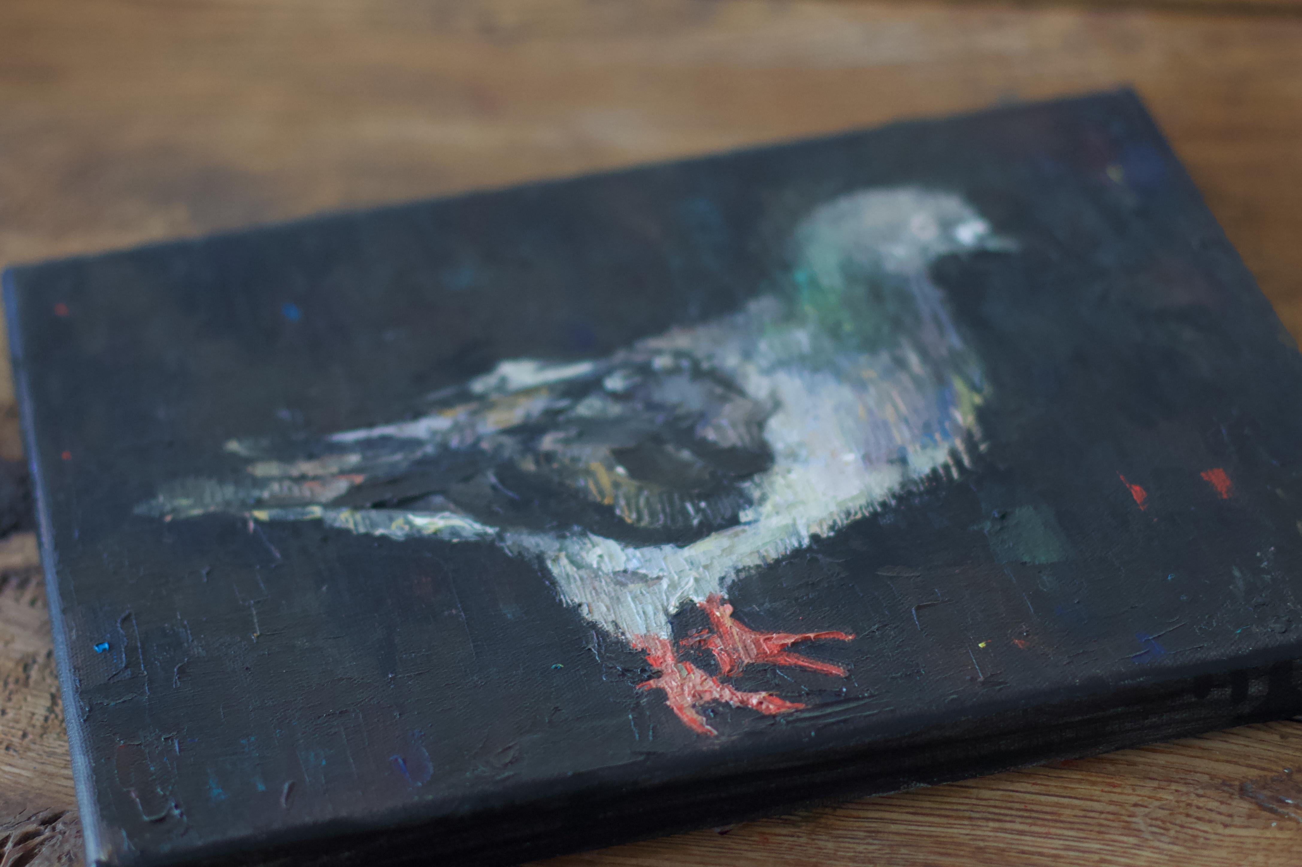 Taube (Schwarz), Animal Painting, von Marina Skepner