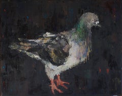Paloma