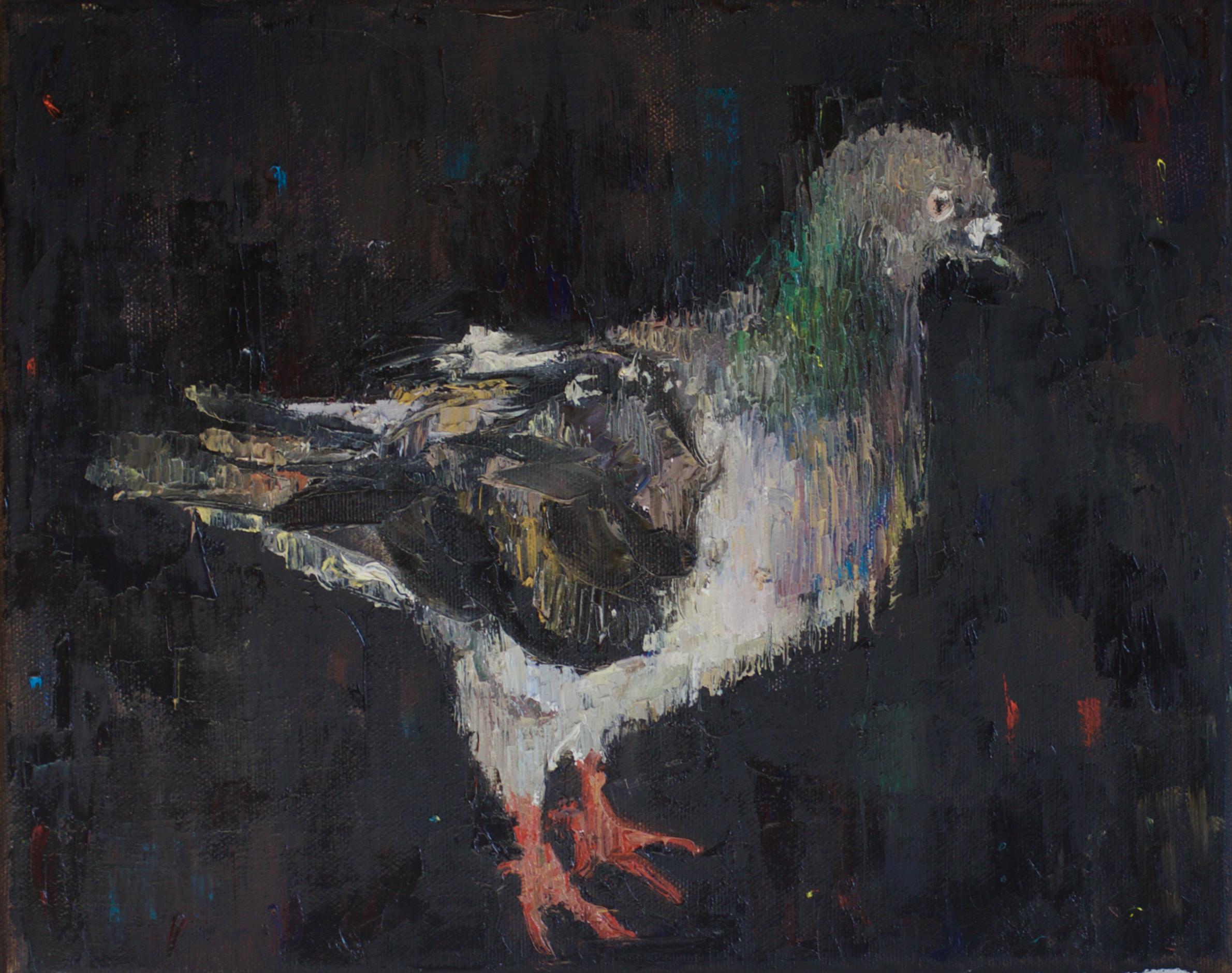 Pigeon. Bird. Animals. Birds. Small. Black. Gray. Green. Urban