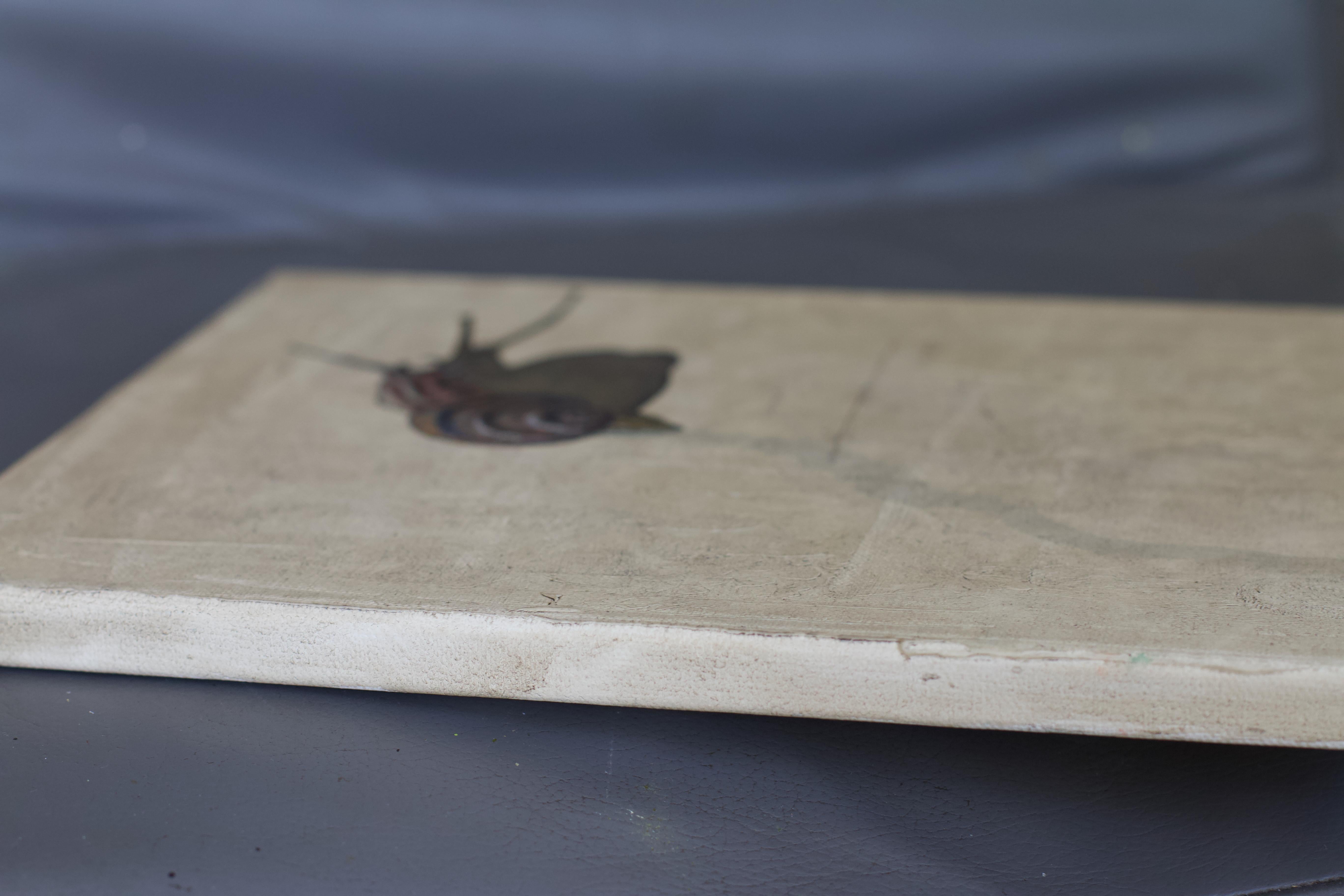 This is a small yet impressive oil painting that imitates a wall with a snail on it. The snail left a glistening trail of slime on the wall. The trace is made with varnish and gives the illusion an almost shocking authenticity. The overall