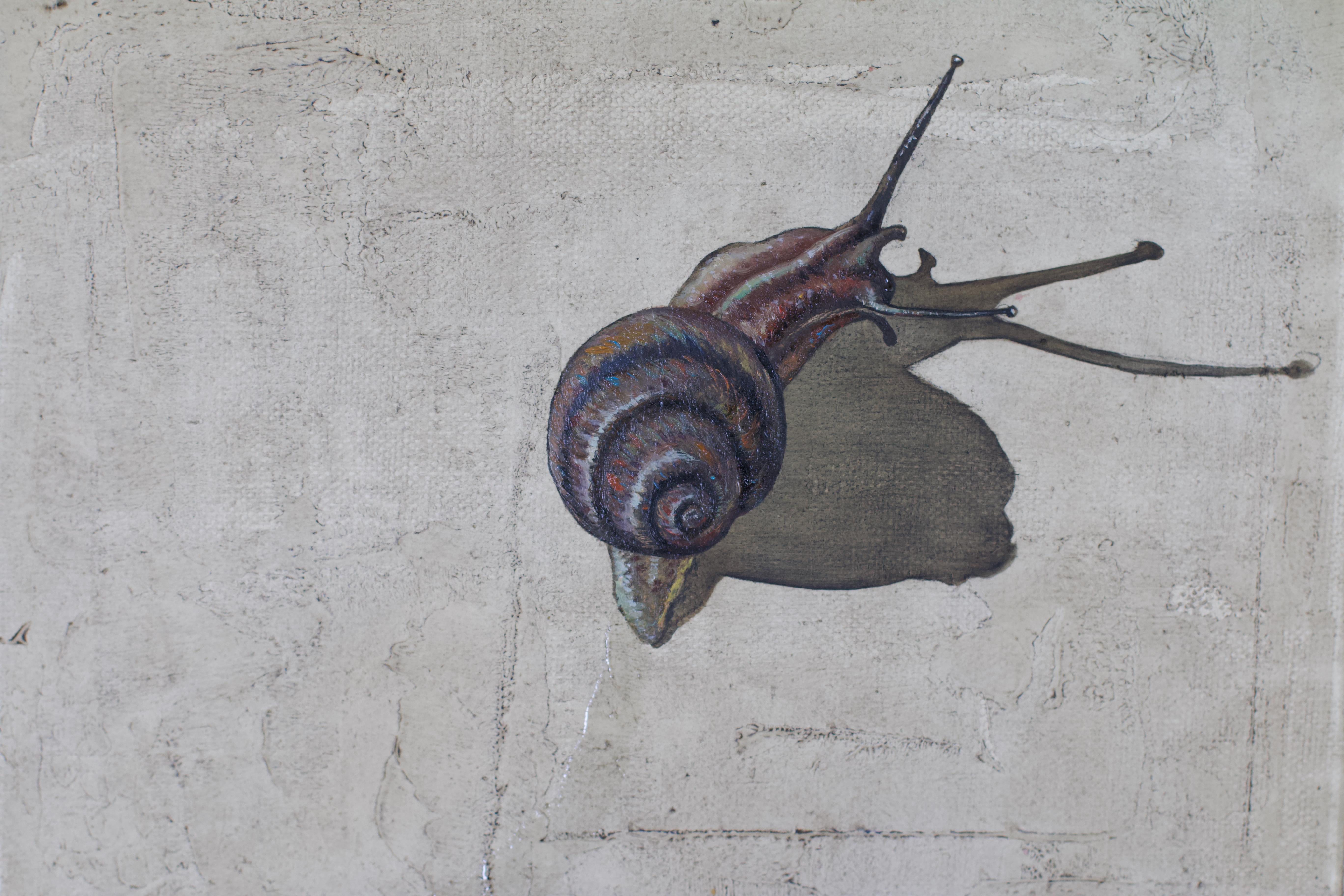 Snail For Sale 1