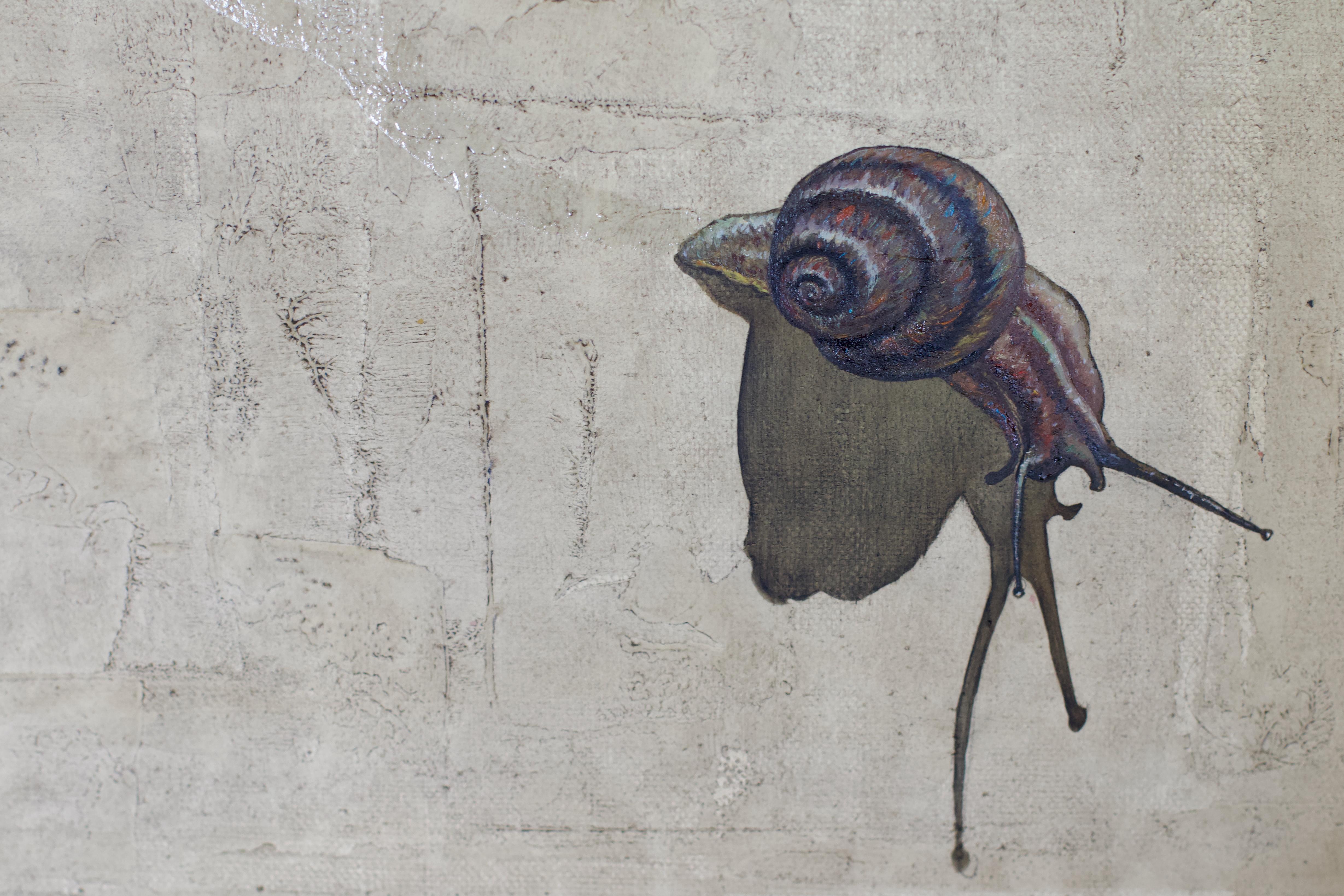 Snail For Sale 2