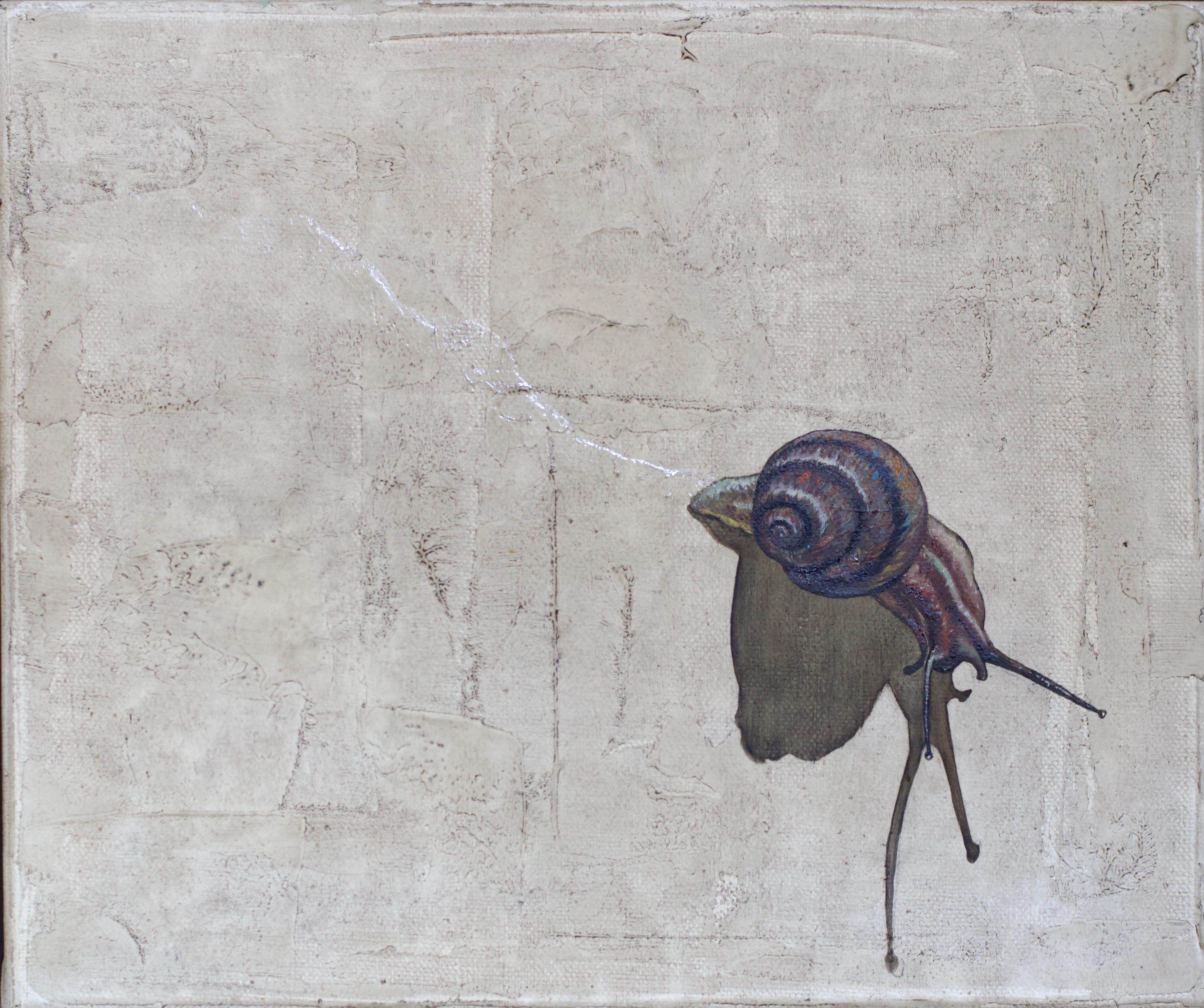 Snail For Sale 4